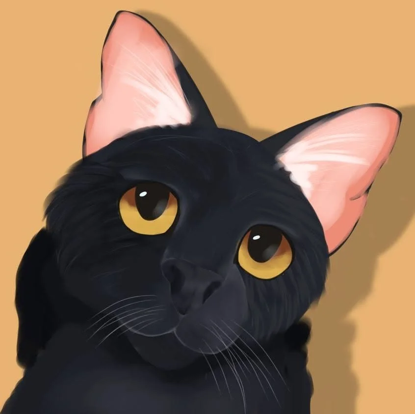 Black cat by Jada aged 11.jpg