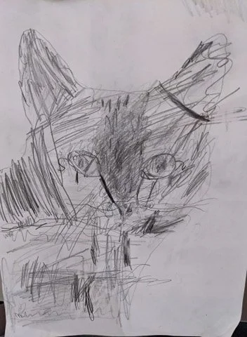 'cat' by Miyana aged 5.jpg