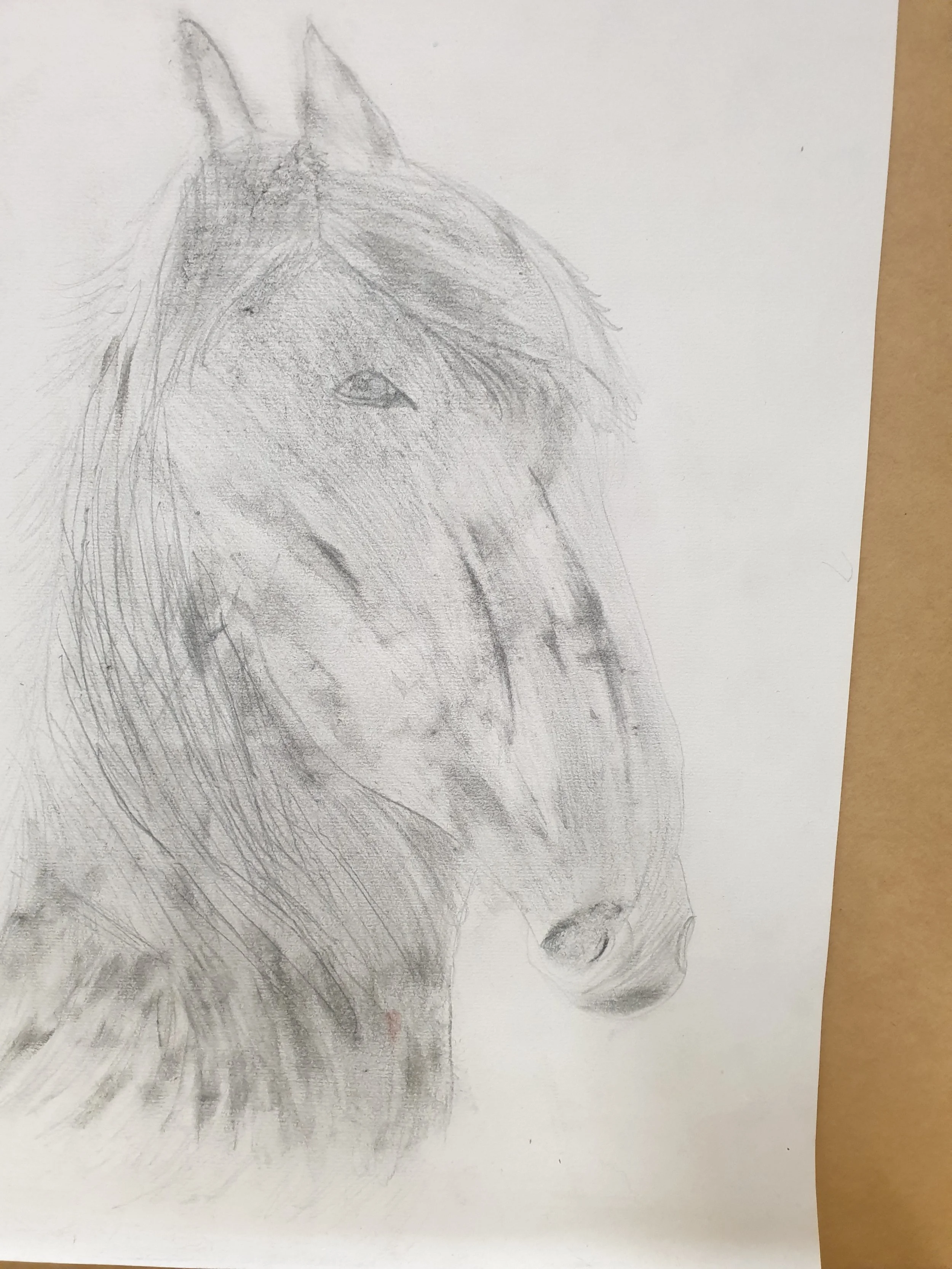 'Horse' by Charlotte, aged 8..jpg