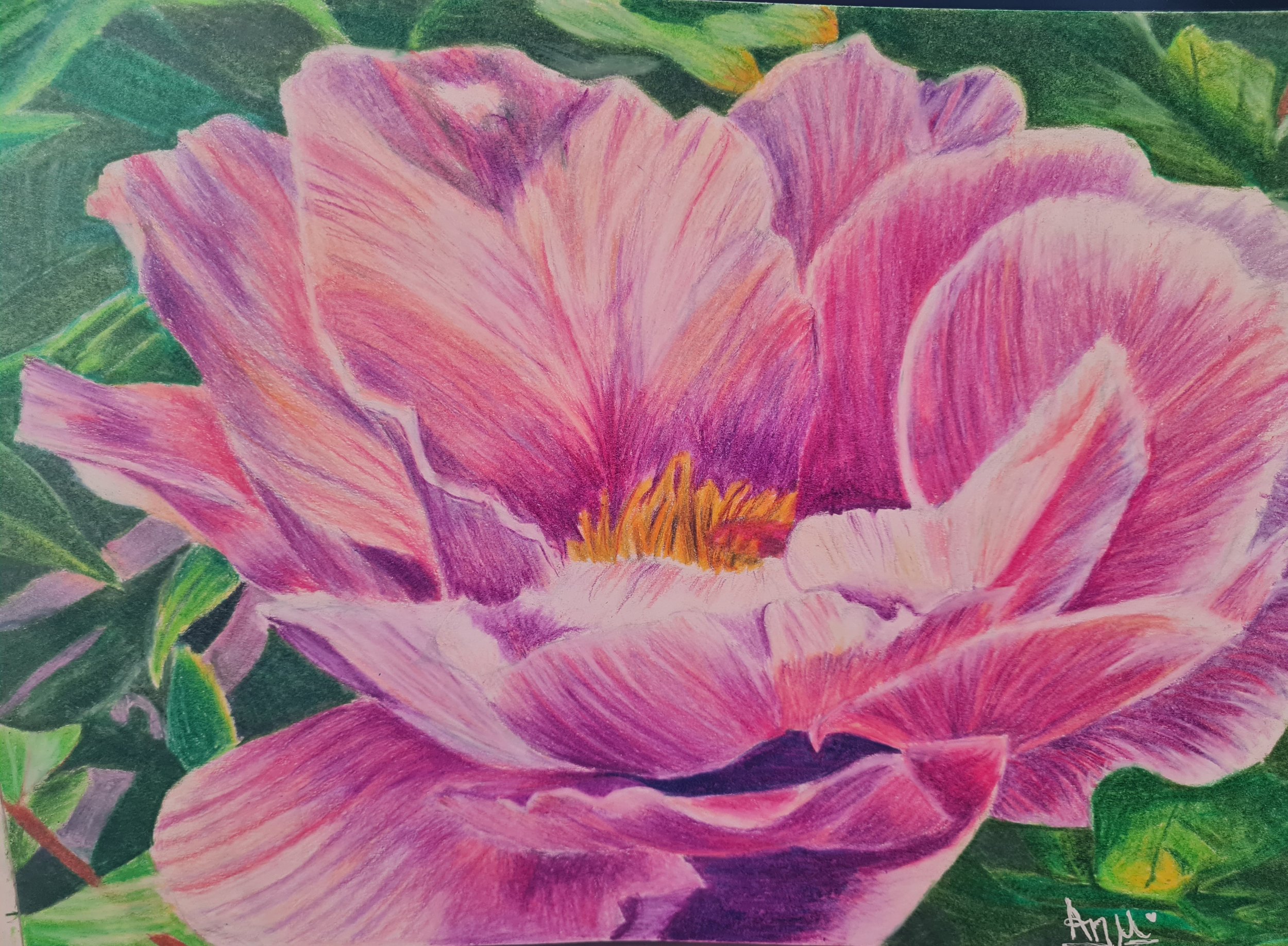 Peony by Ananya aged 11.jpg