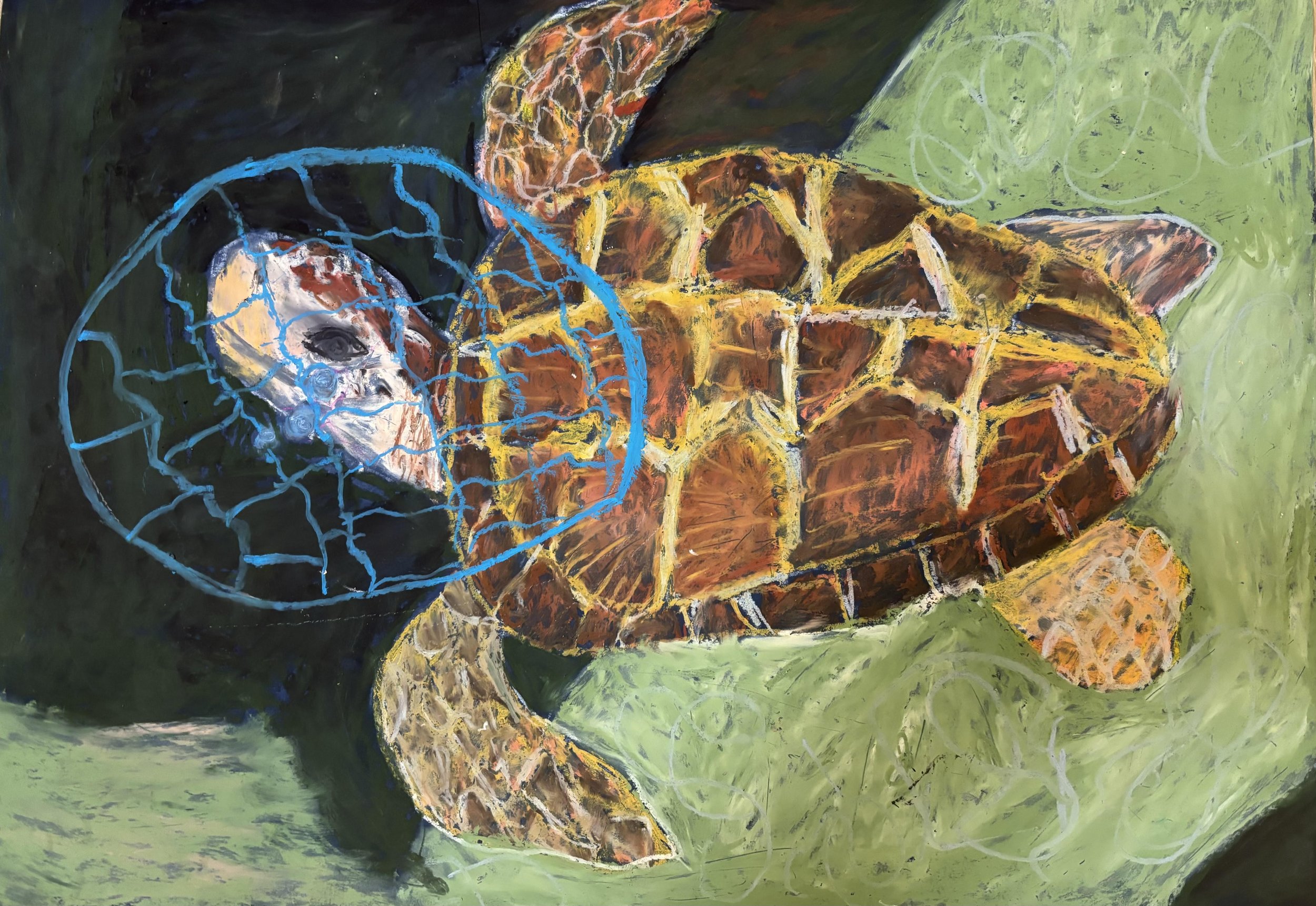 'Turtles plea' by Yonal aged 7