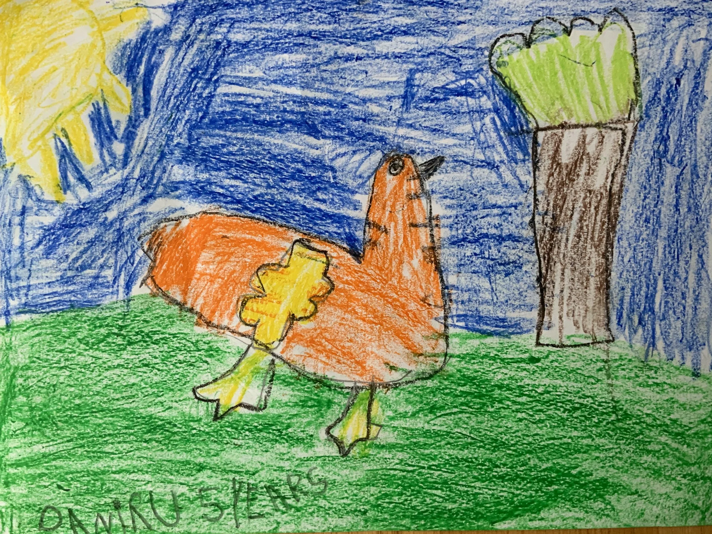 Duck walk by Daniru aged 5.jpeg