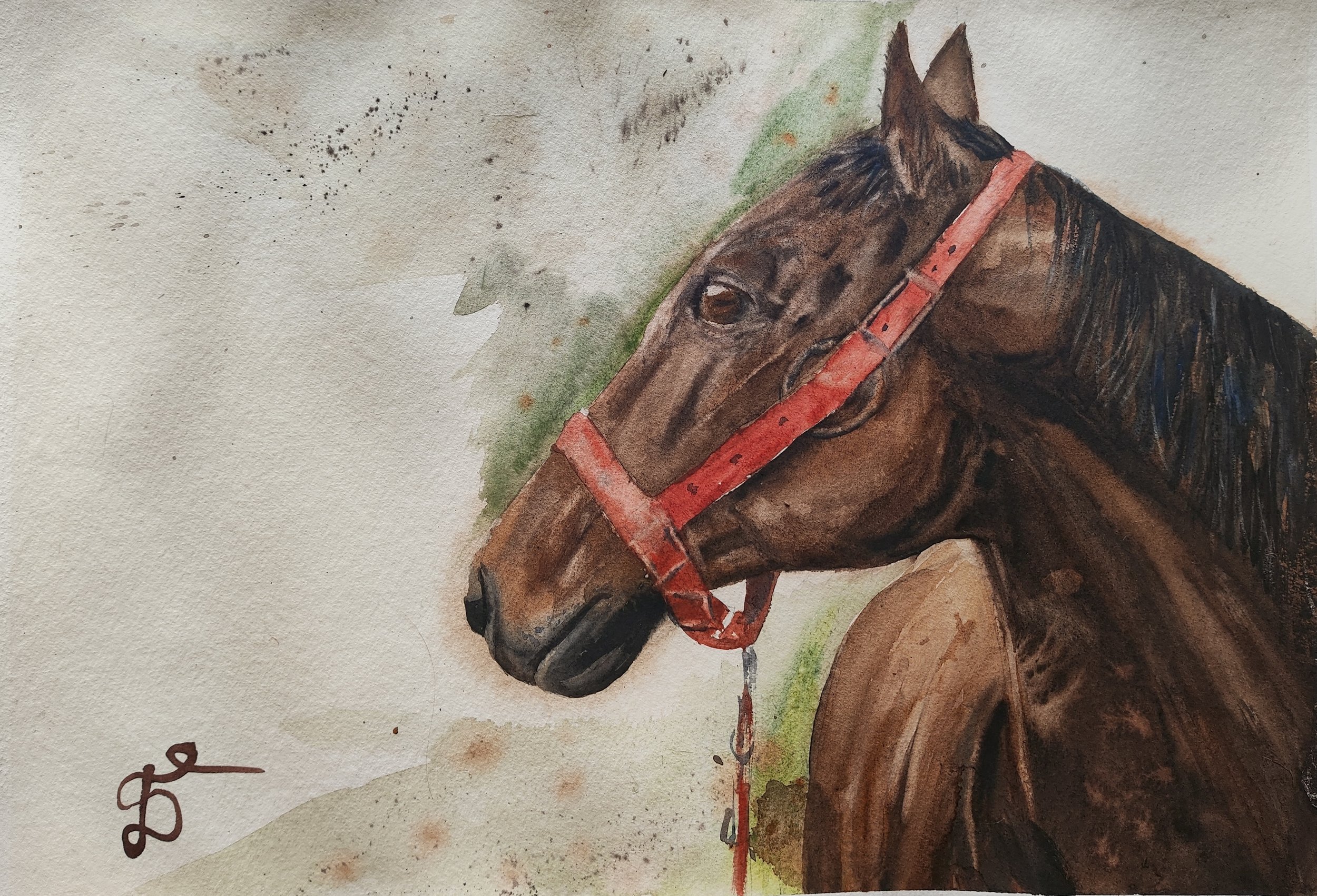 'Brown horse' by Bozhidar aged 13