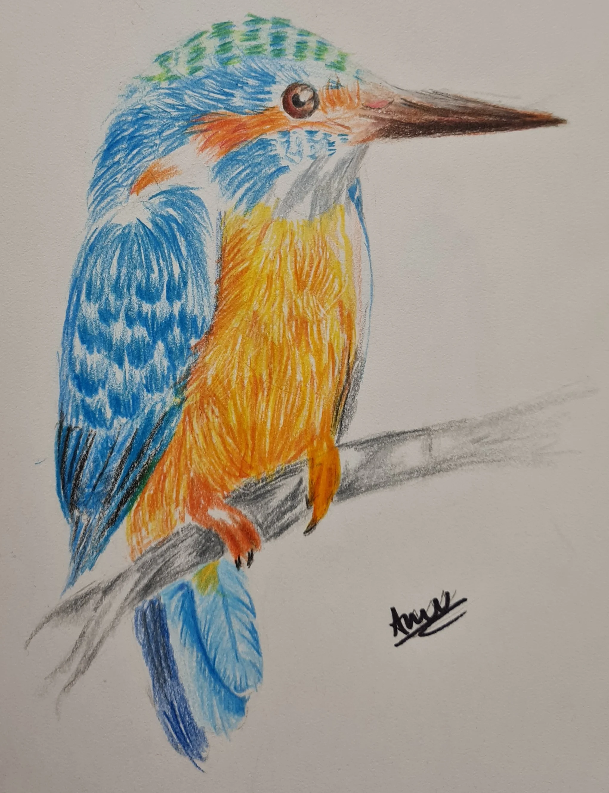 'King fisher by Ananya aged 11.jpg