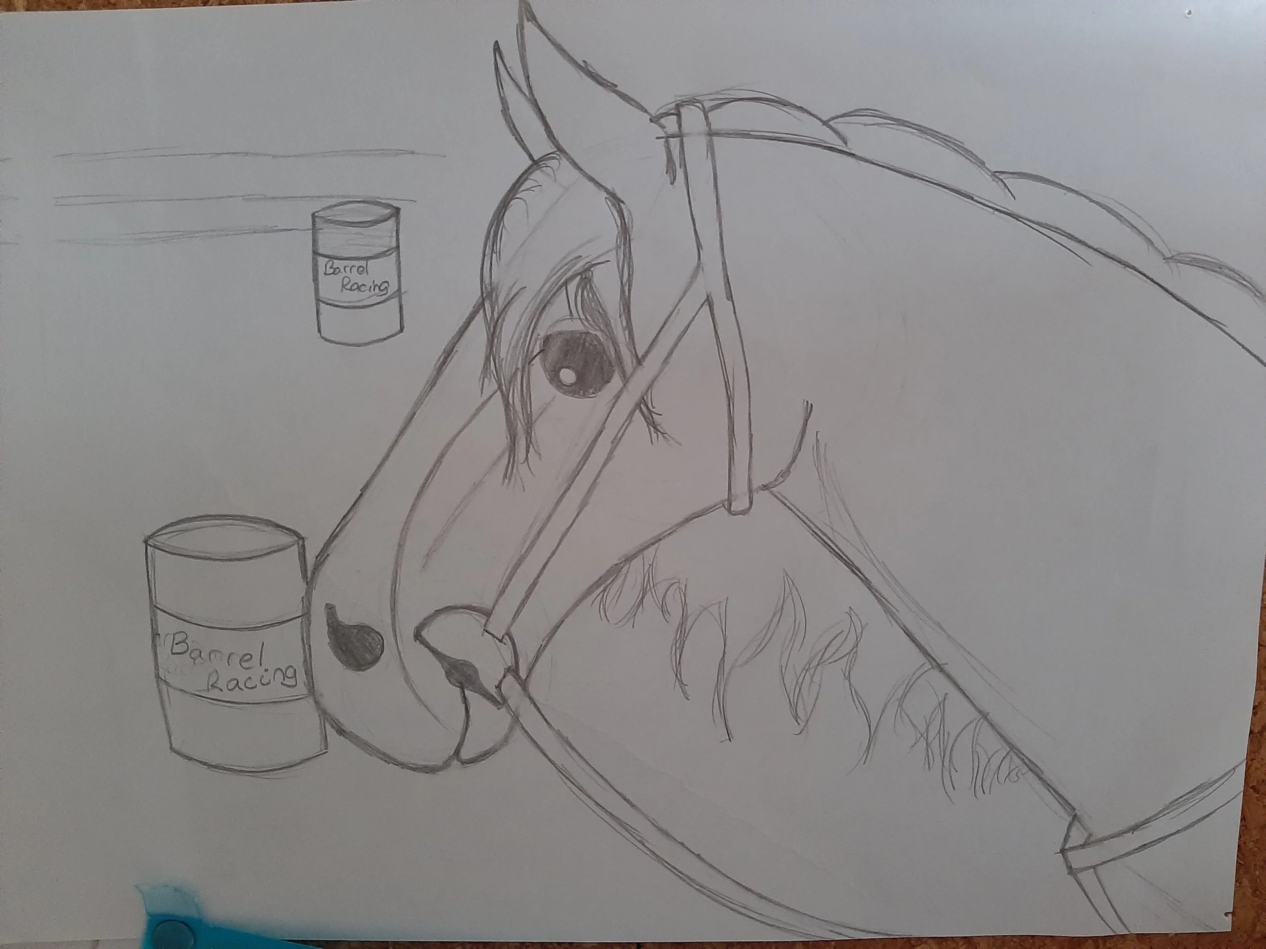 Barrel racer by Emily aged 10.jpg