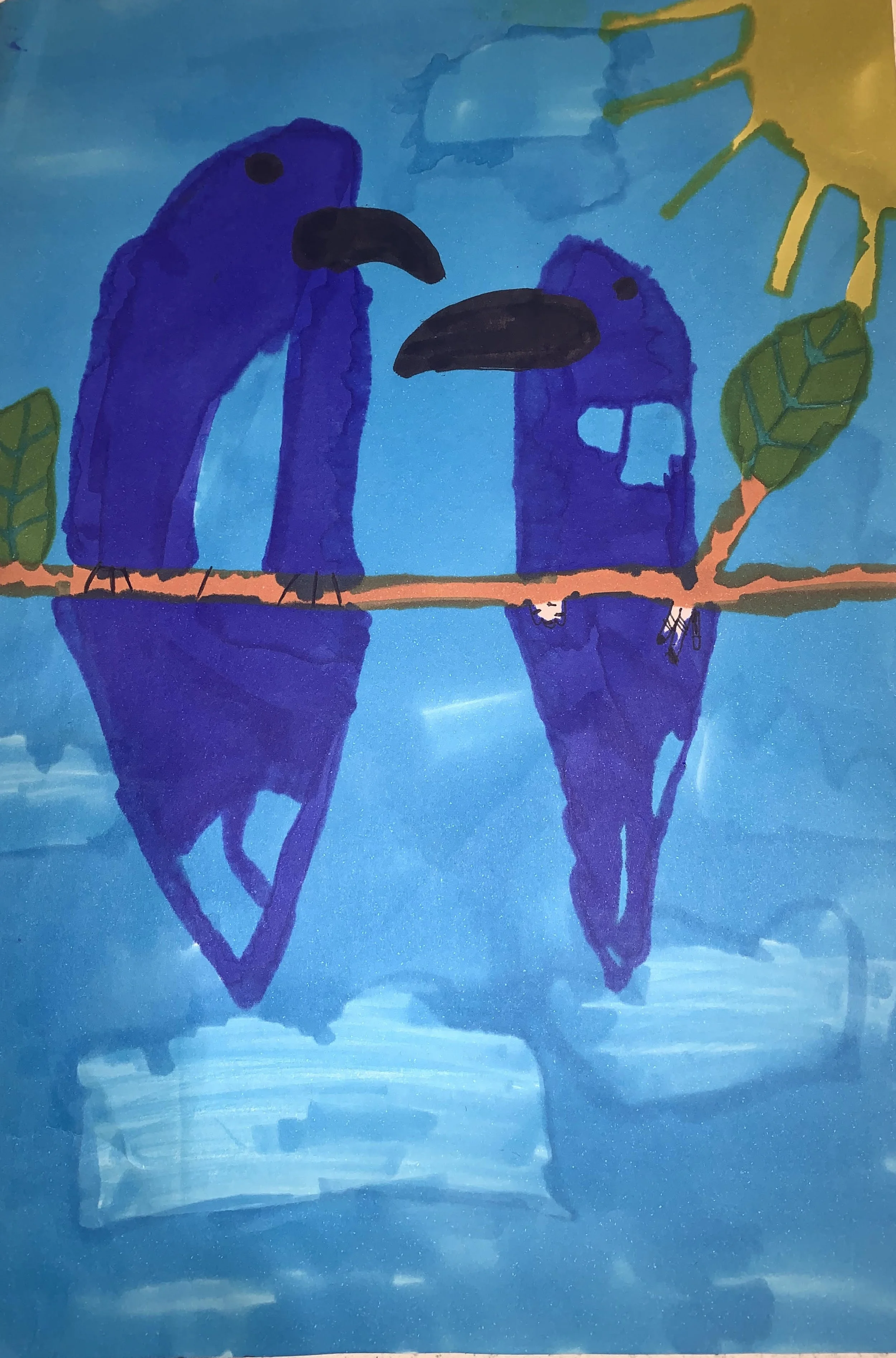 Josh aged 6 backyard birds.jpg