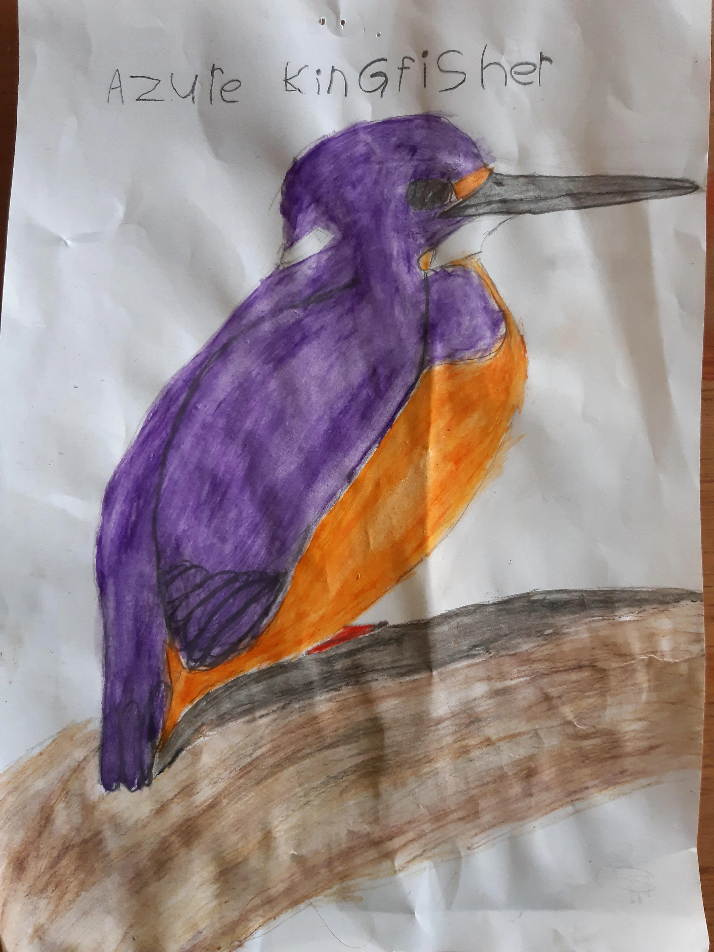 Azure kingfisher by Annika aged 7.jpg