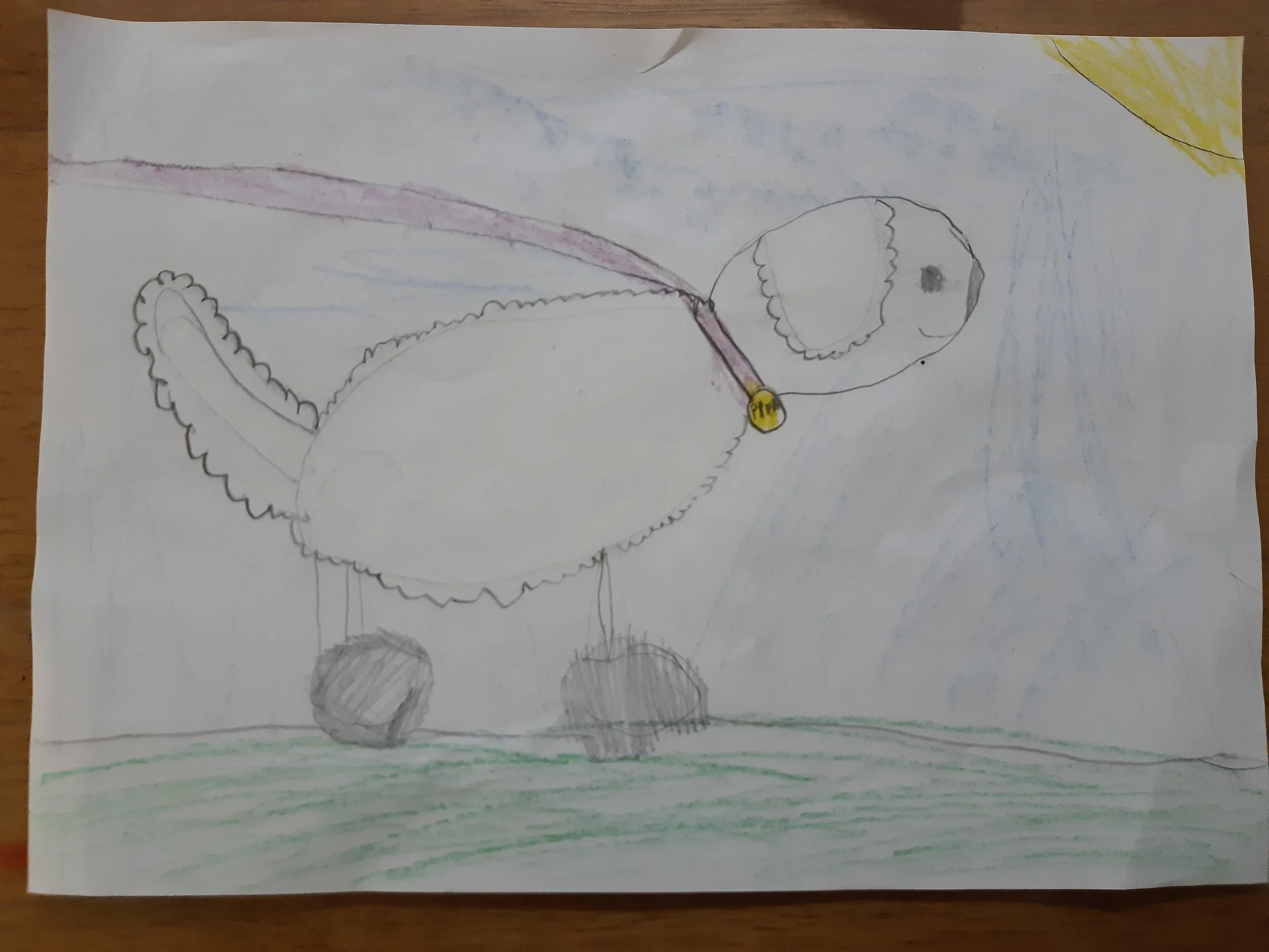 Pippa the poodle by Ariana aged 6.jpg