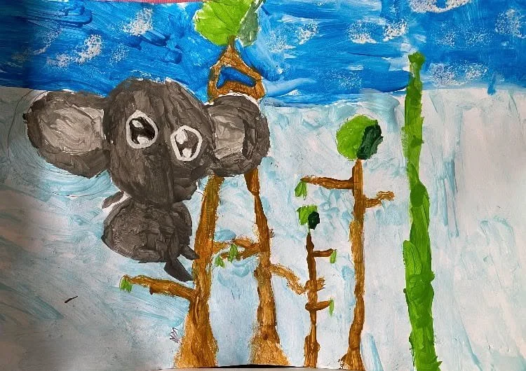 Koala by Jackson aged 8.jpg