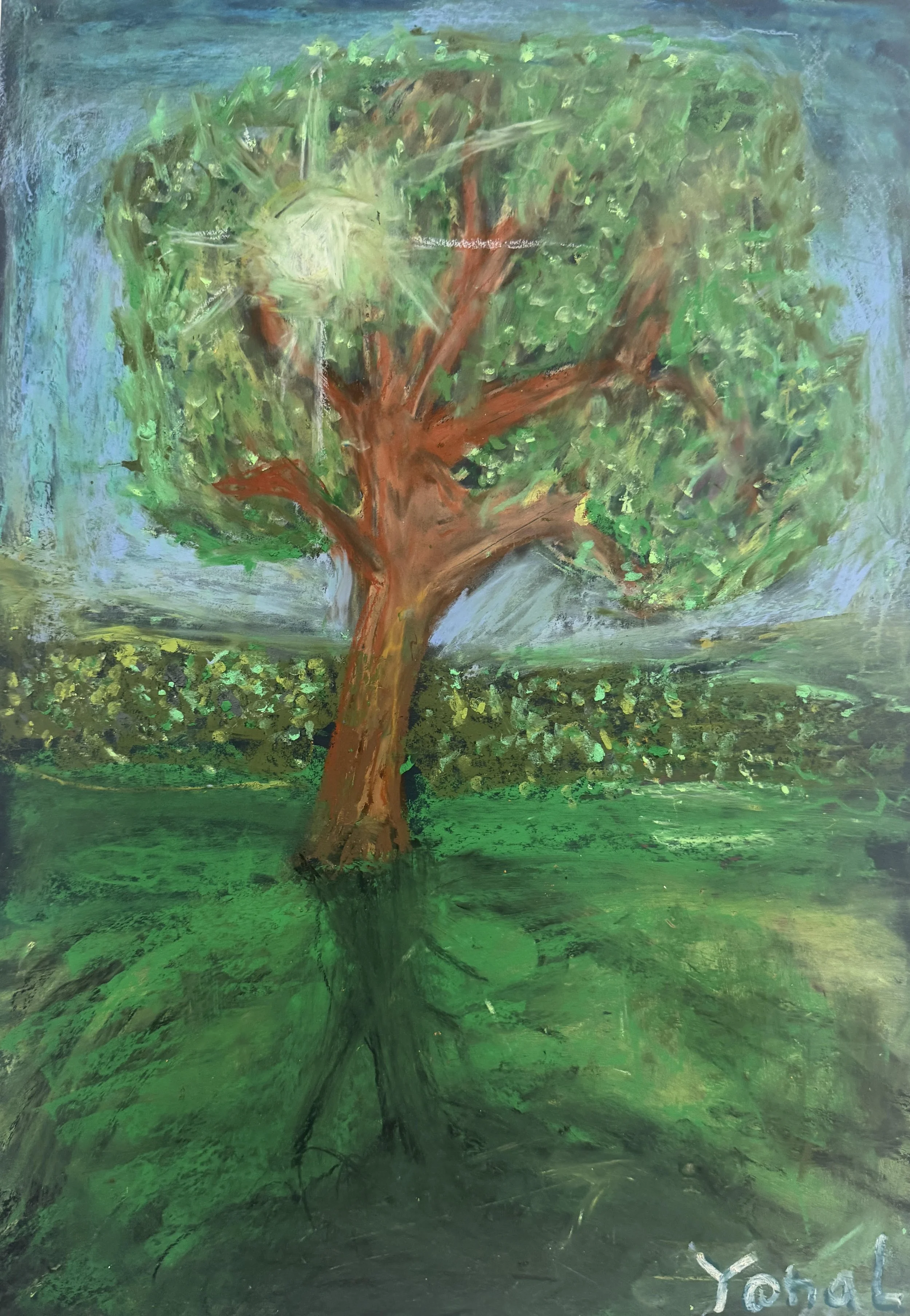 'A tree of life' by Yonal aged 7
