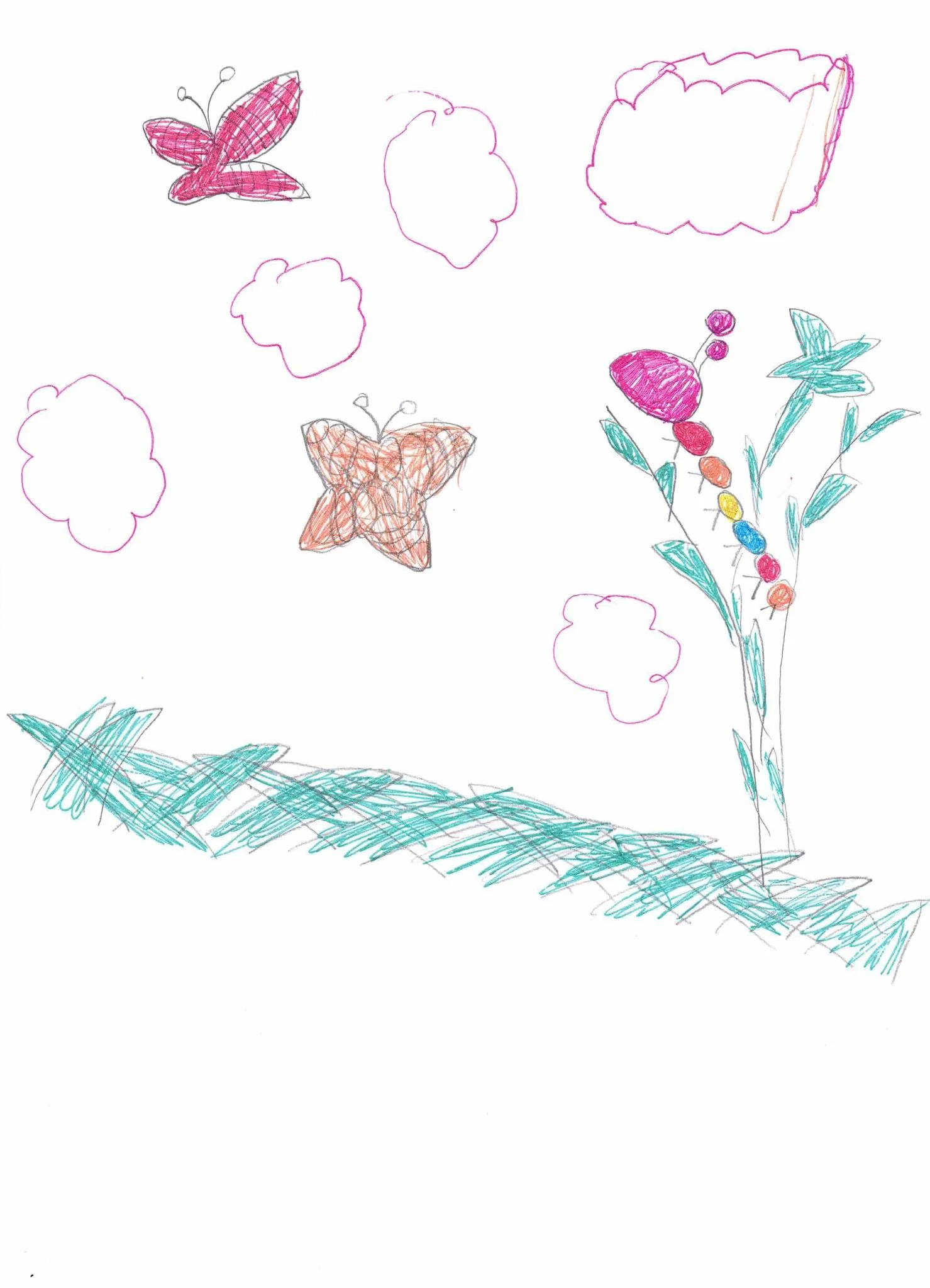The life of the wilderness by Olivia aged 8.jpg