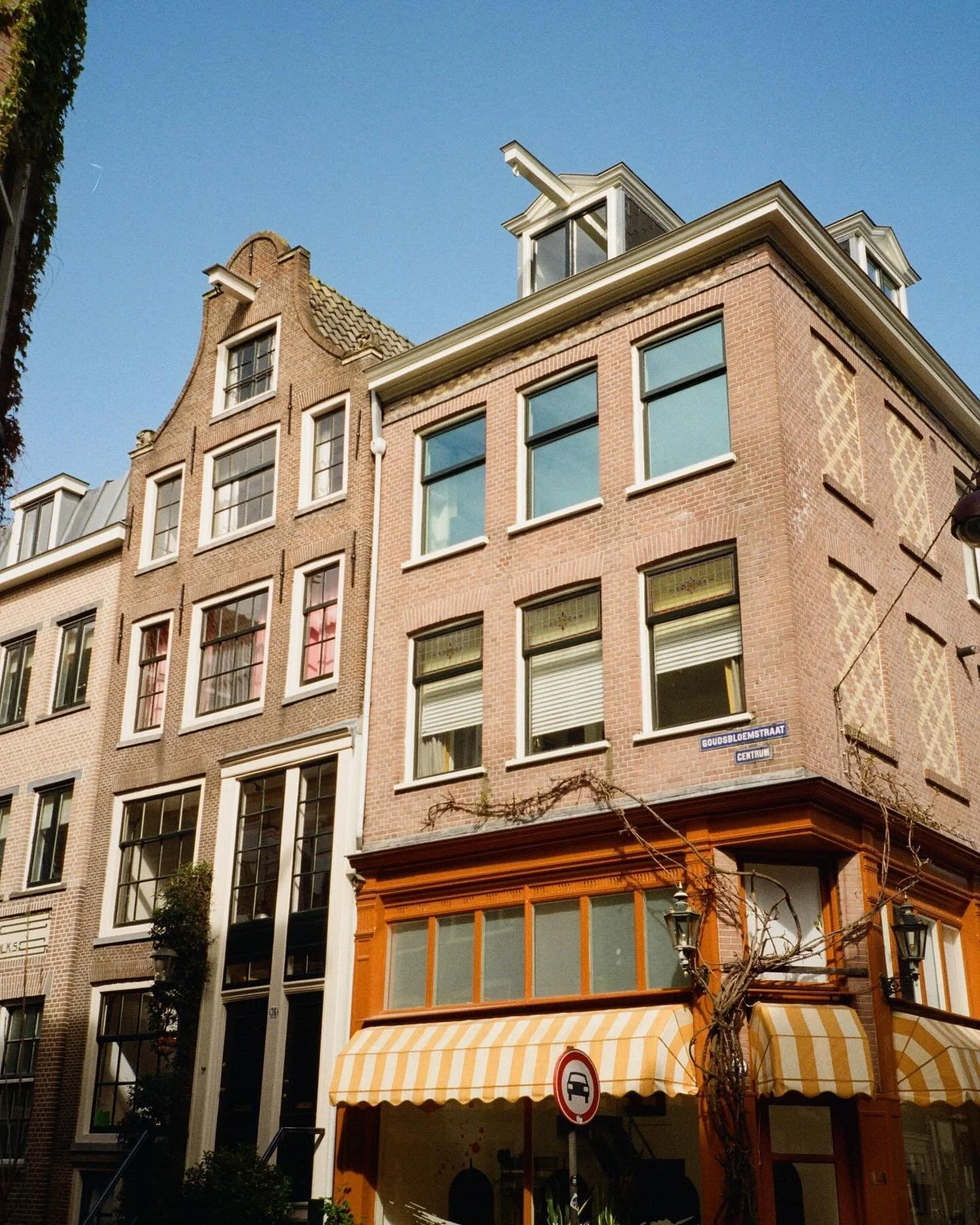 amsterdam appreciation post 🫰🏻
reflecting on the week before for 90 min saturday morning practice with @italypadilla 🪷