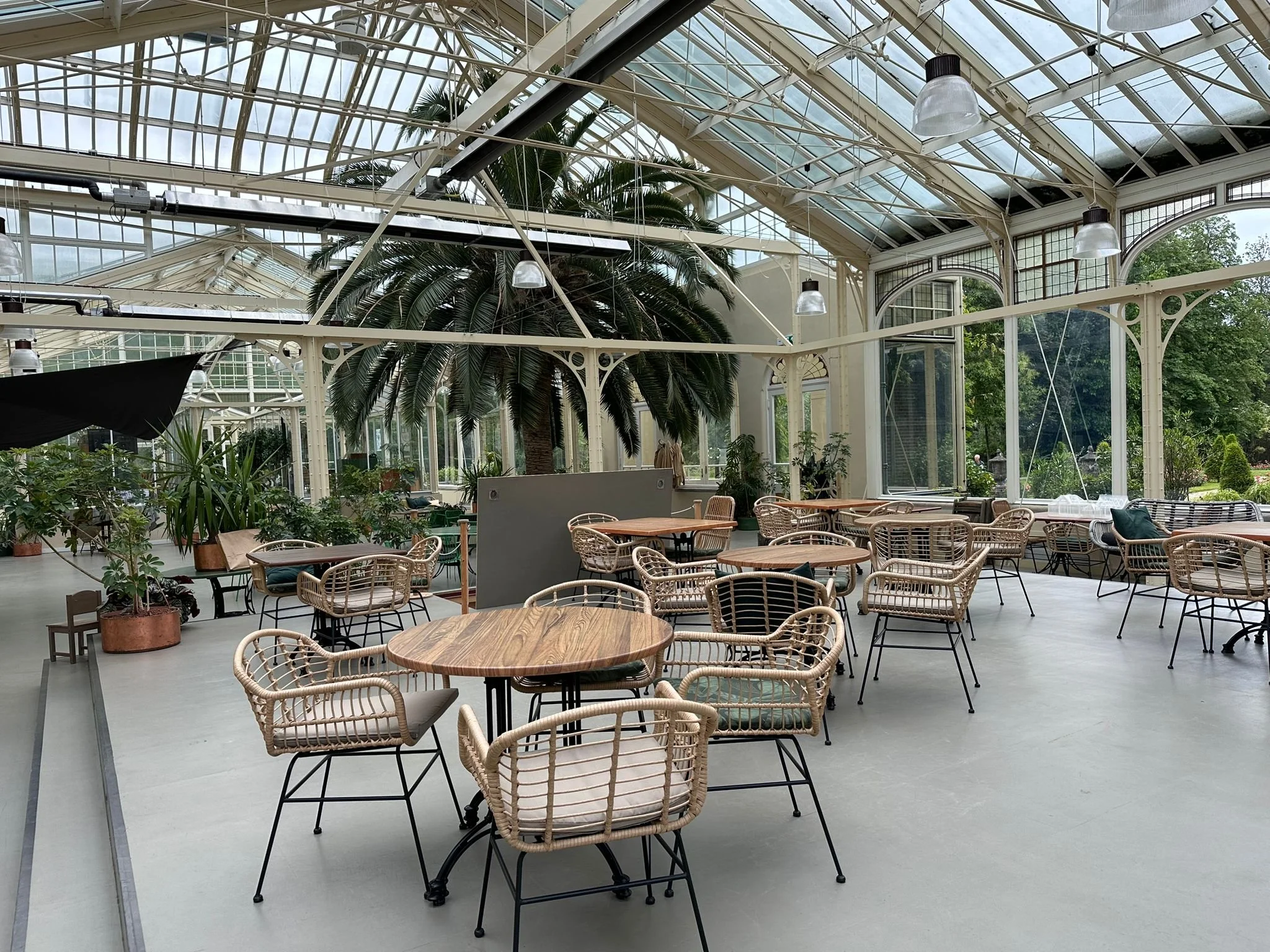 WhatsApp Image 2024-08-28 at 10.40.30 (1).jpeg