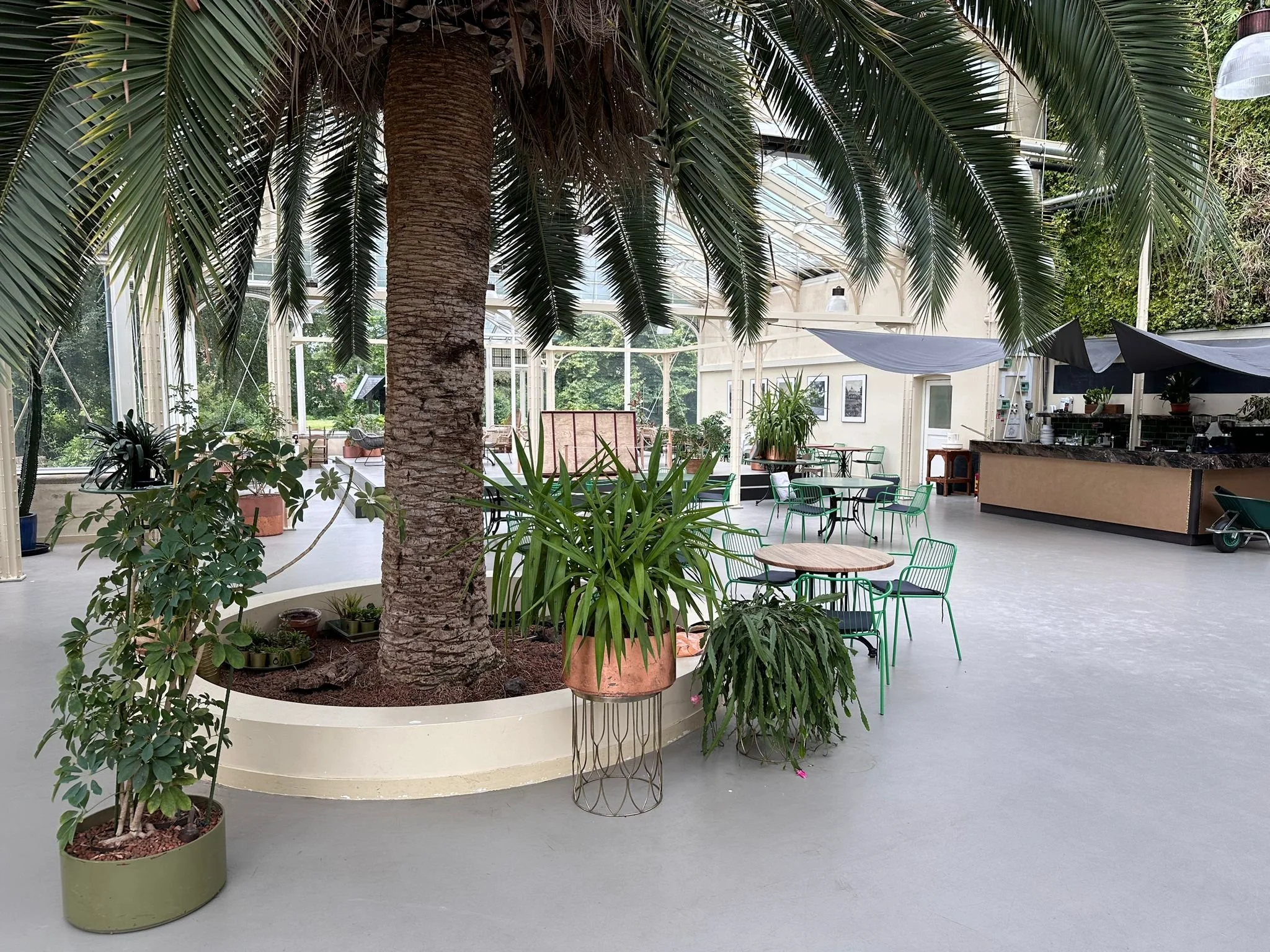 WhatsApp Image 2024-08-28 at 10.40.33.jpeg