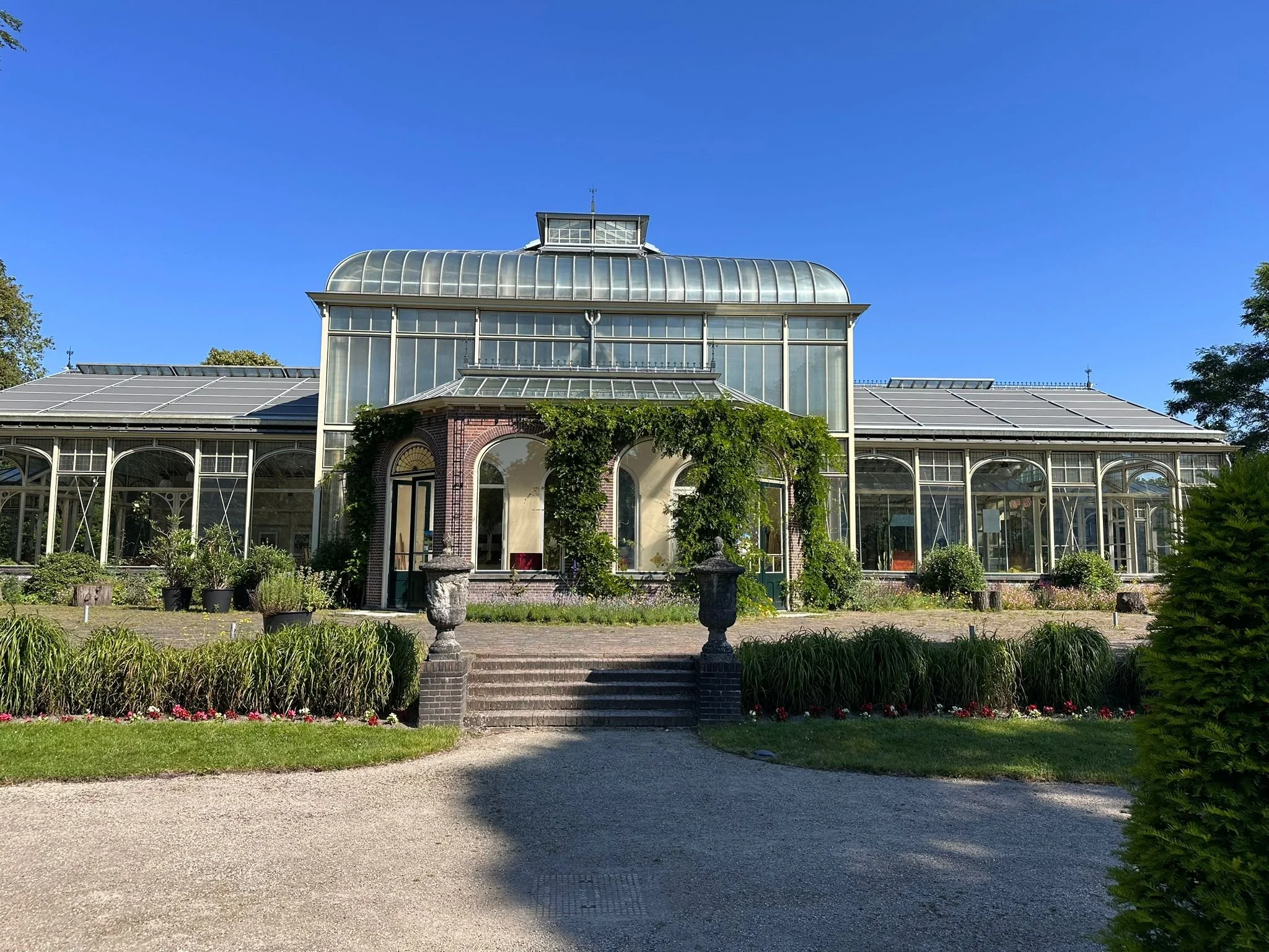 WhatsApp Image 2024-08-28 at 10.40.29.jpeg