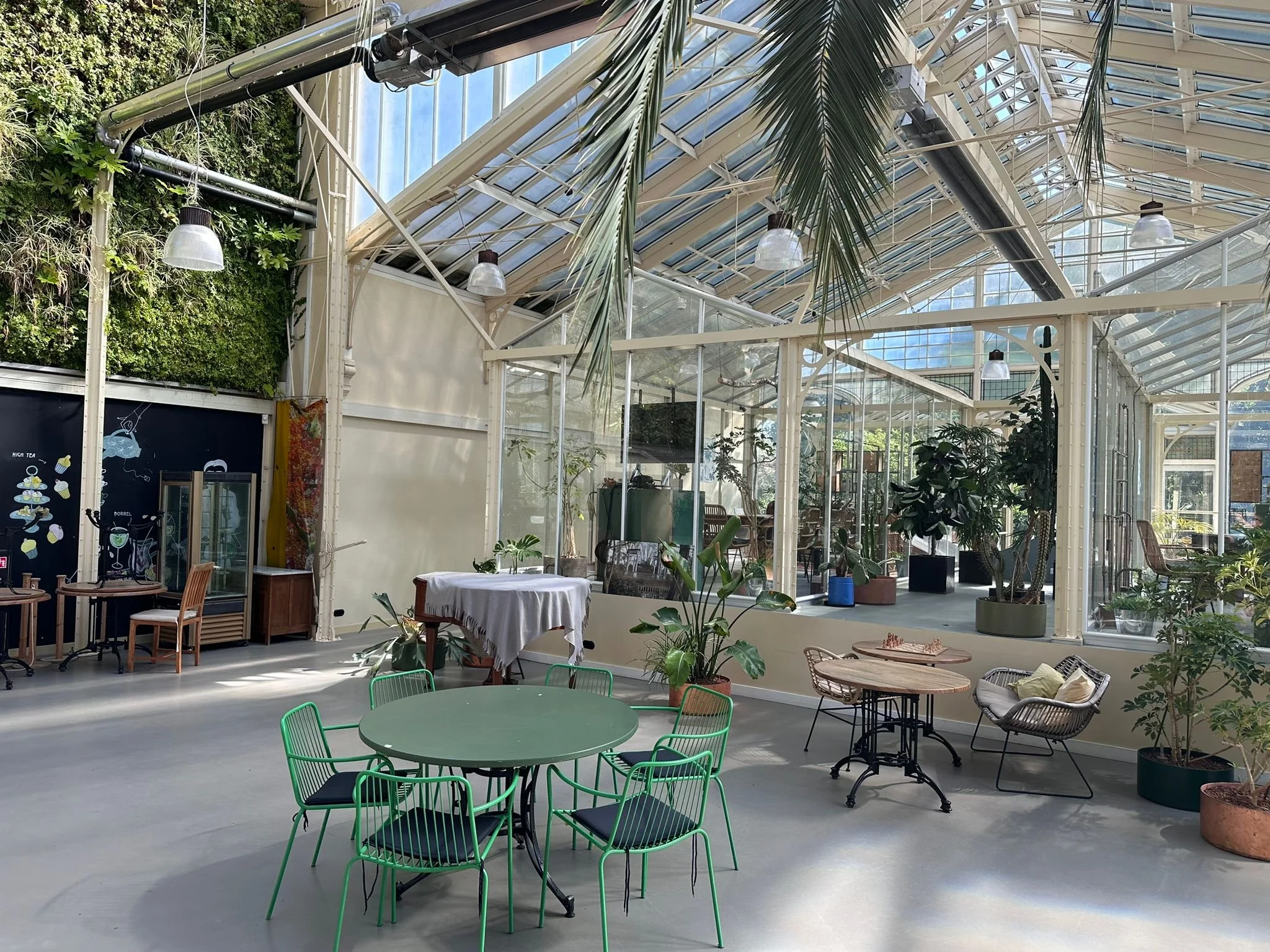 WhatsApp Image 2024-08-28 at 10.40.29 (1).jpeg