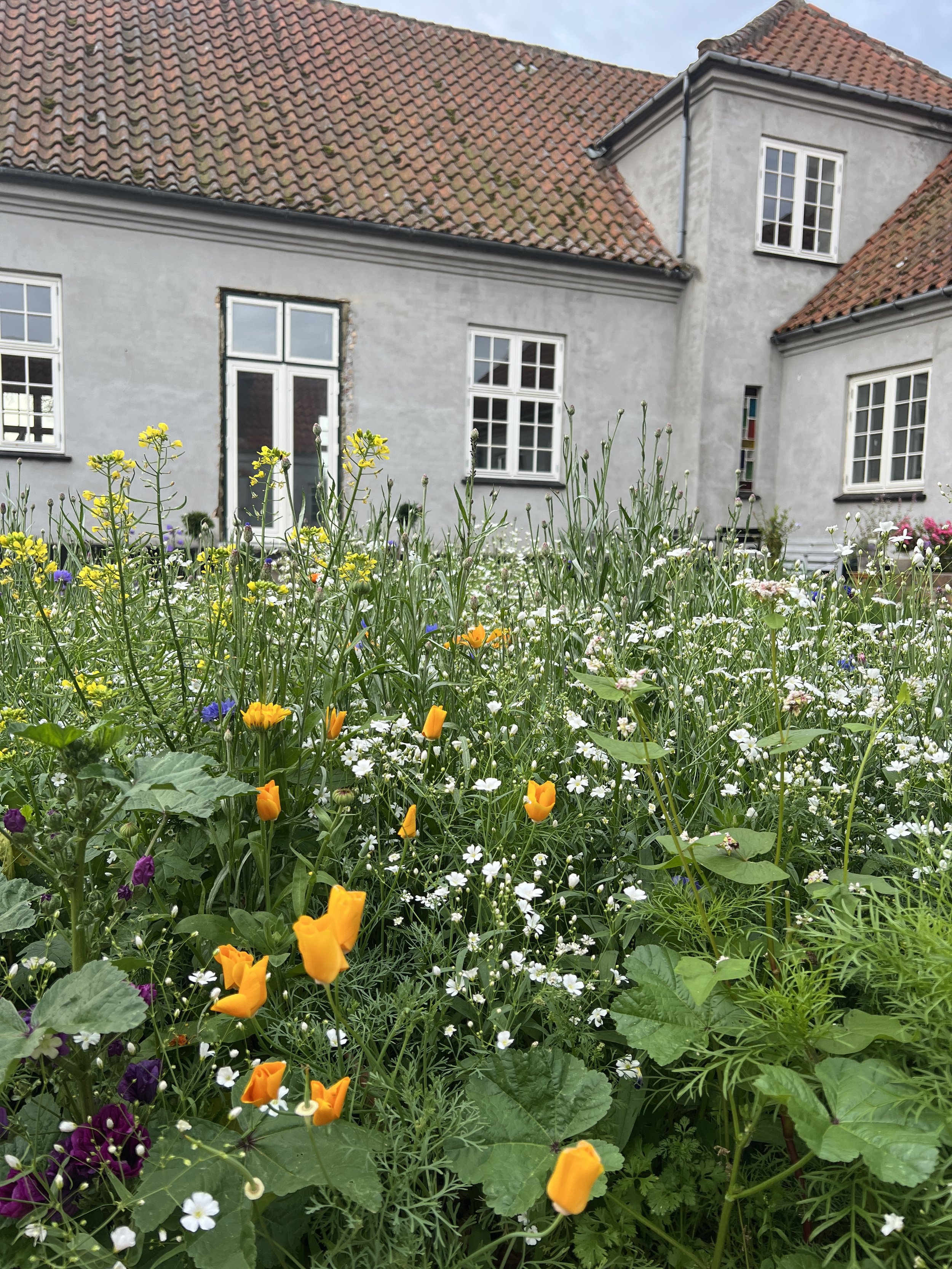 Rundvisning, have og sang