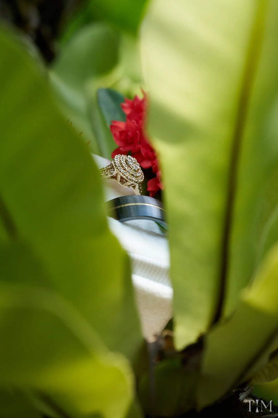 Wedding & Engagement Photography