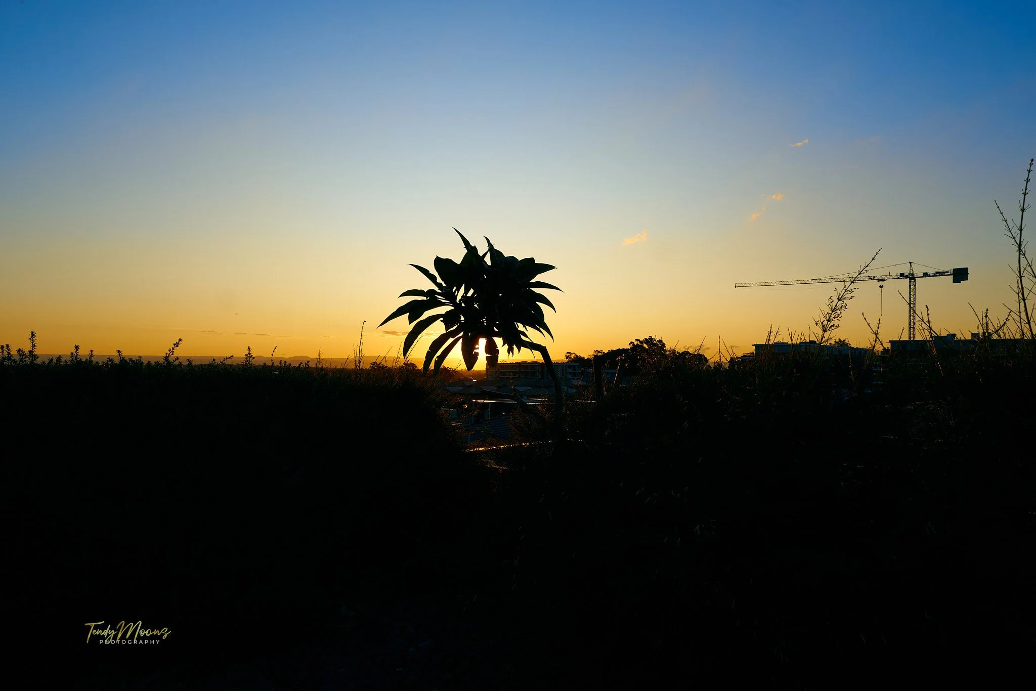 DSC07143.jpg