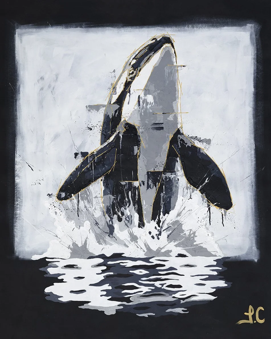 Orca.jpg