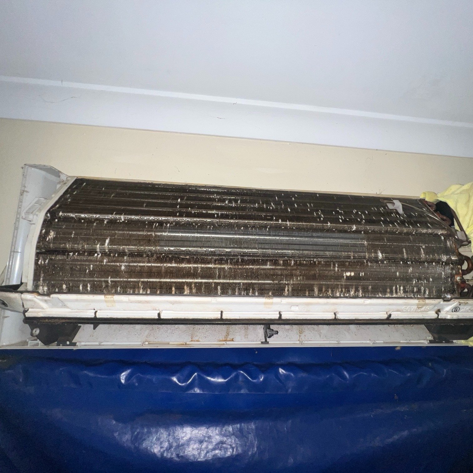 This unit was long overdue for a clean! 

A dirty air conditioner can circulate mould throughout your home, triggering allergies and respiratory issues🤧

To ensure a healthy indoor environment, we recommend servicing your AC annually🗓️

#darwinnt #