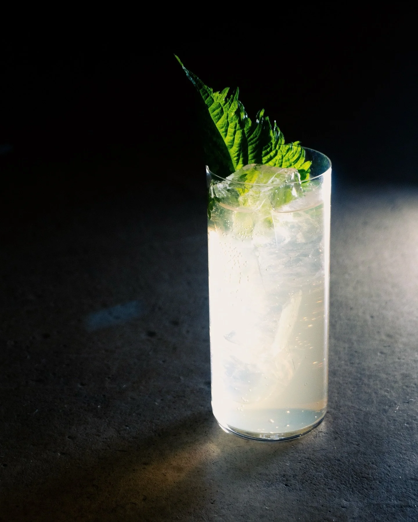 We know the mood starts with taste. You bring the mood - we bring the flavor.

Basilisk Bite is a smooth, well-balanced cocktail with fresh notes of thai basil. The perfect start to the party night.✨