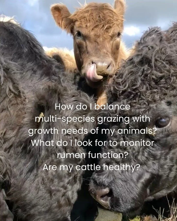 A sh*tty session!

Ruminant nutritionist Donna Woerz grew up on a dairy farm in Gippsland.

Her work since ag science at uni has been mostly in dairy nutrition, where everything&rsquo;s measured and monitored and if you get it wrong, you get instant 