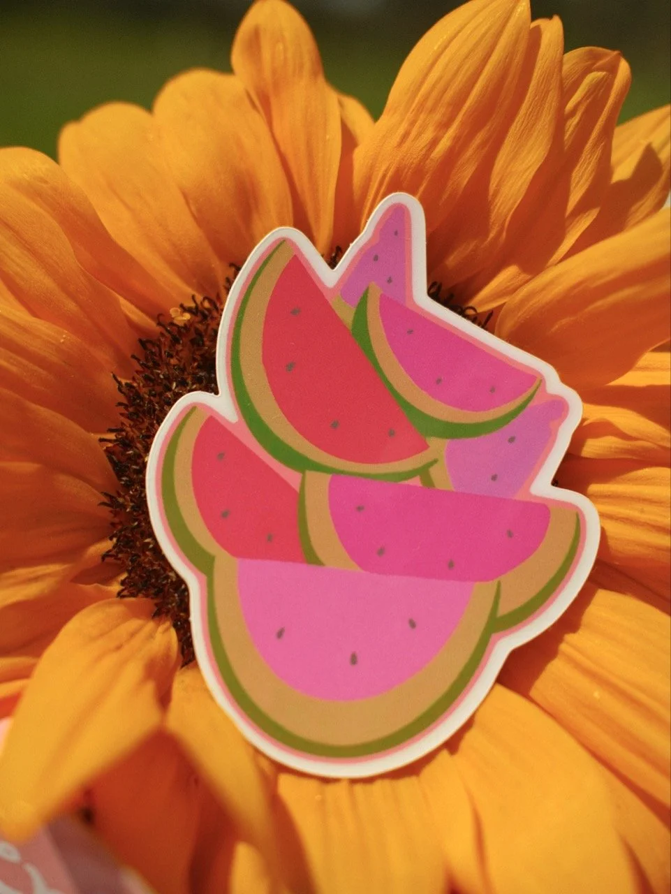 Groß (_DSF5889).jpeg