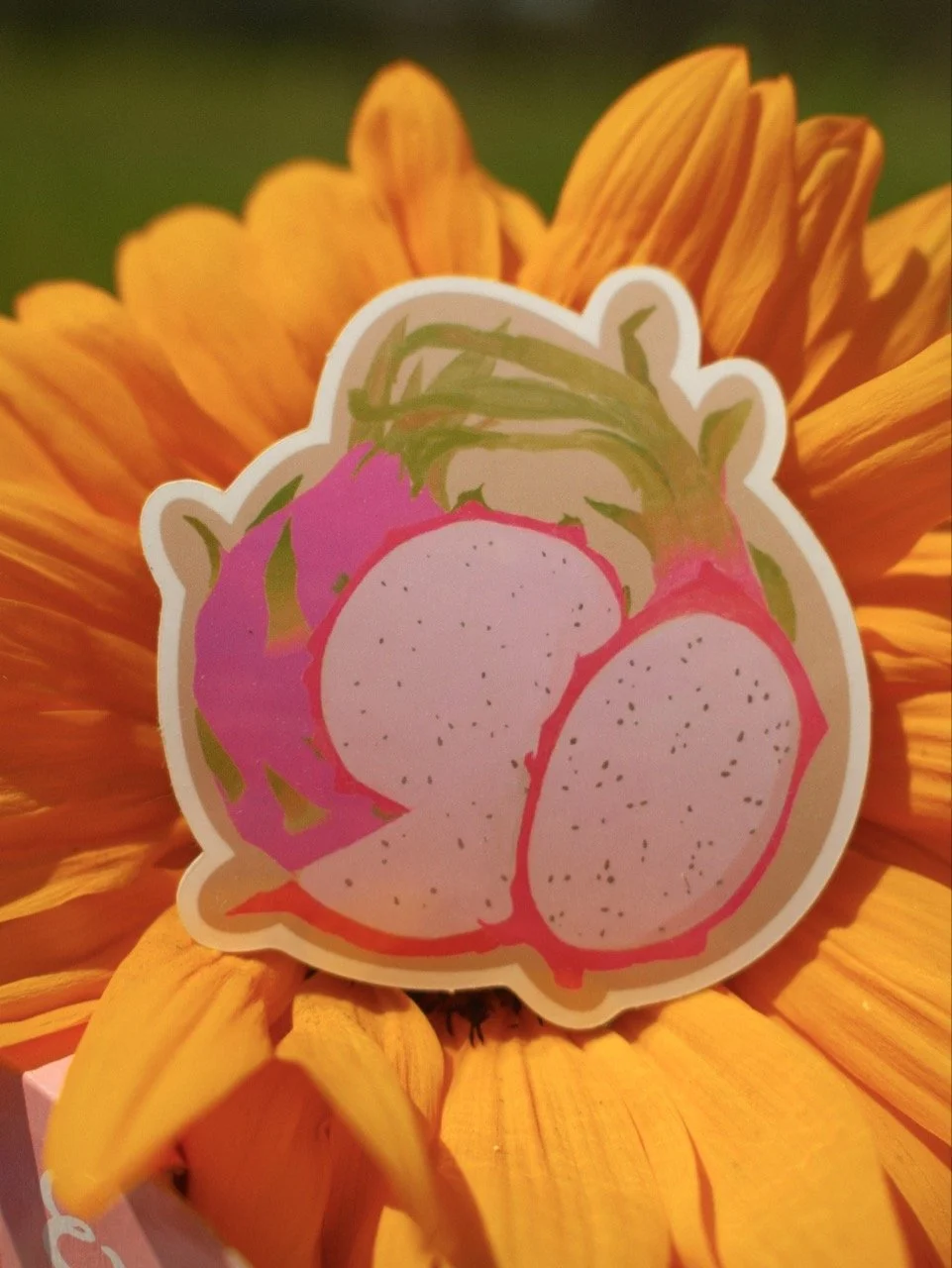 Groß (_DSF5886).jpeg