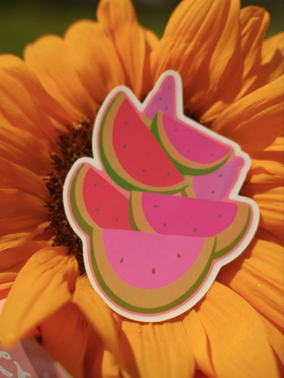 Groß (_DSF5887).jpeg