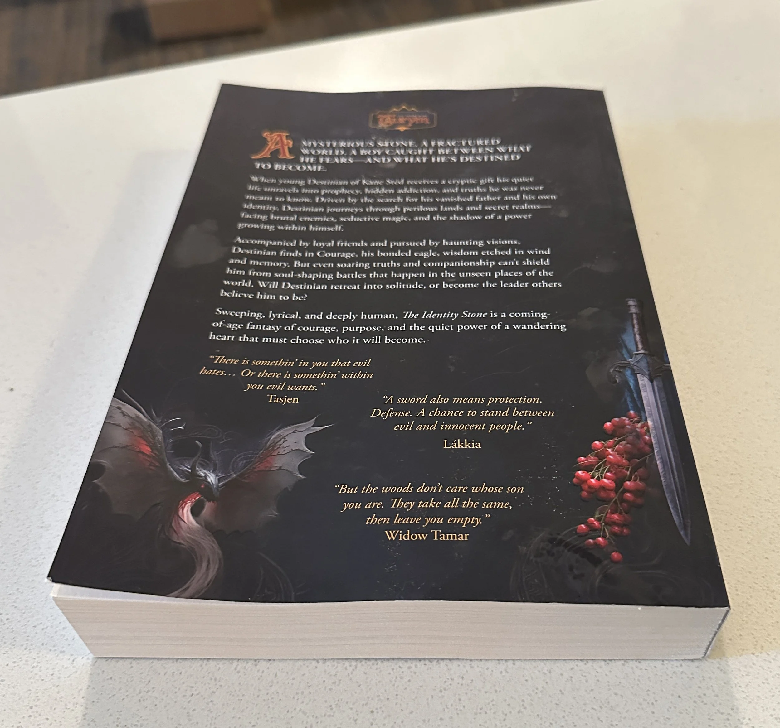 back cover of paperback.jpg