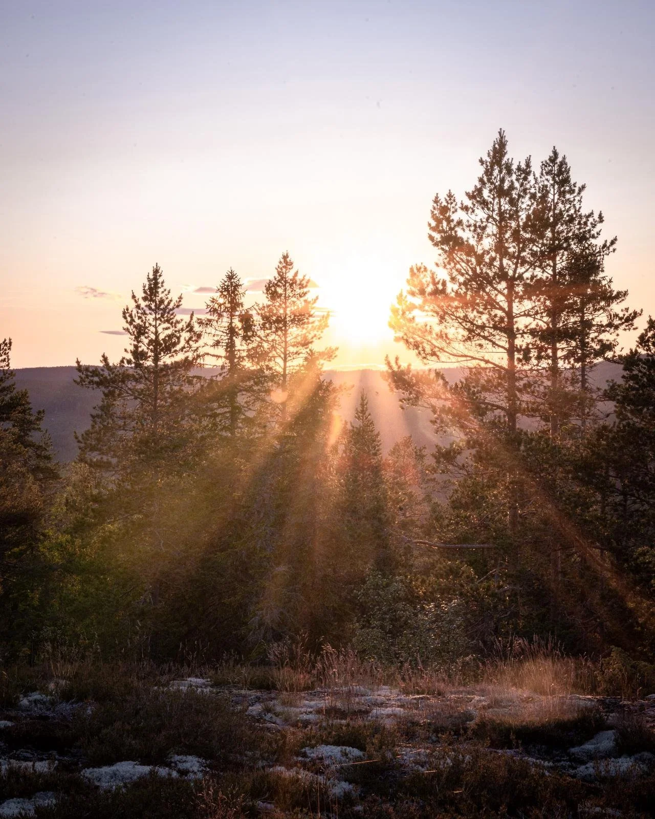 Sommarnytt: Nya språk, uppdaterade bilder och planer för hösten