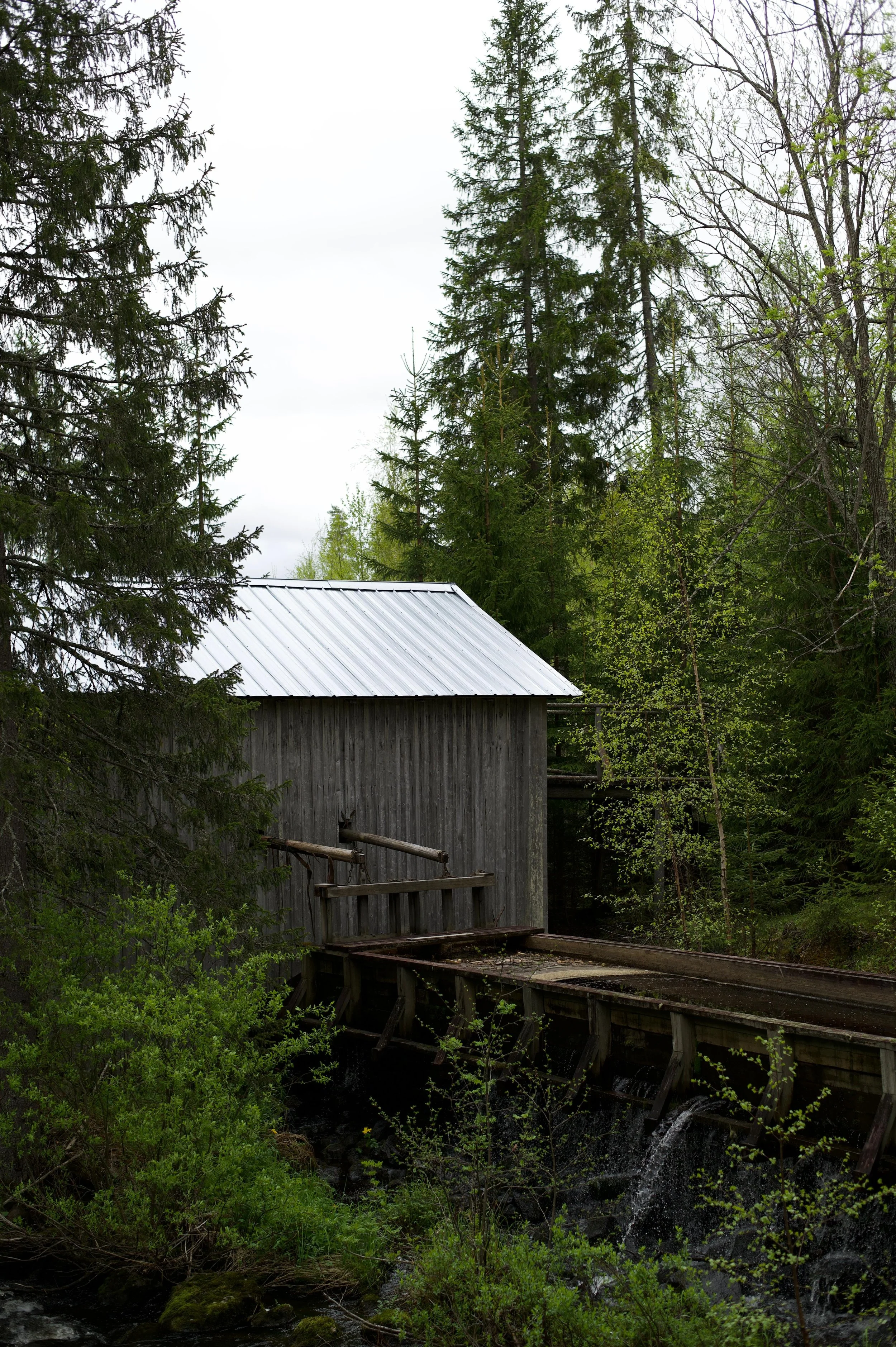 En träkonstruktion och ett vattenhjul i en skogsmiljö med löv- och barrträd.