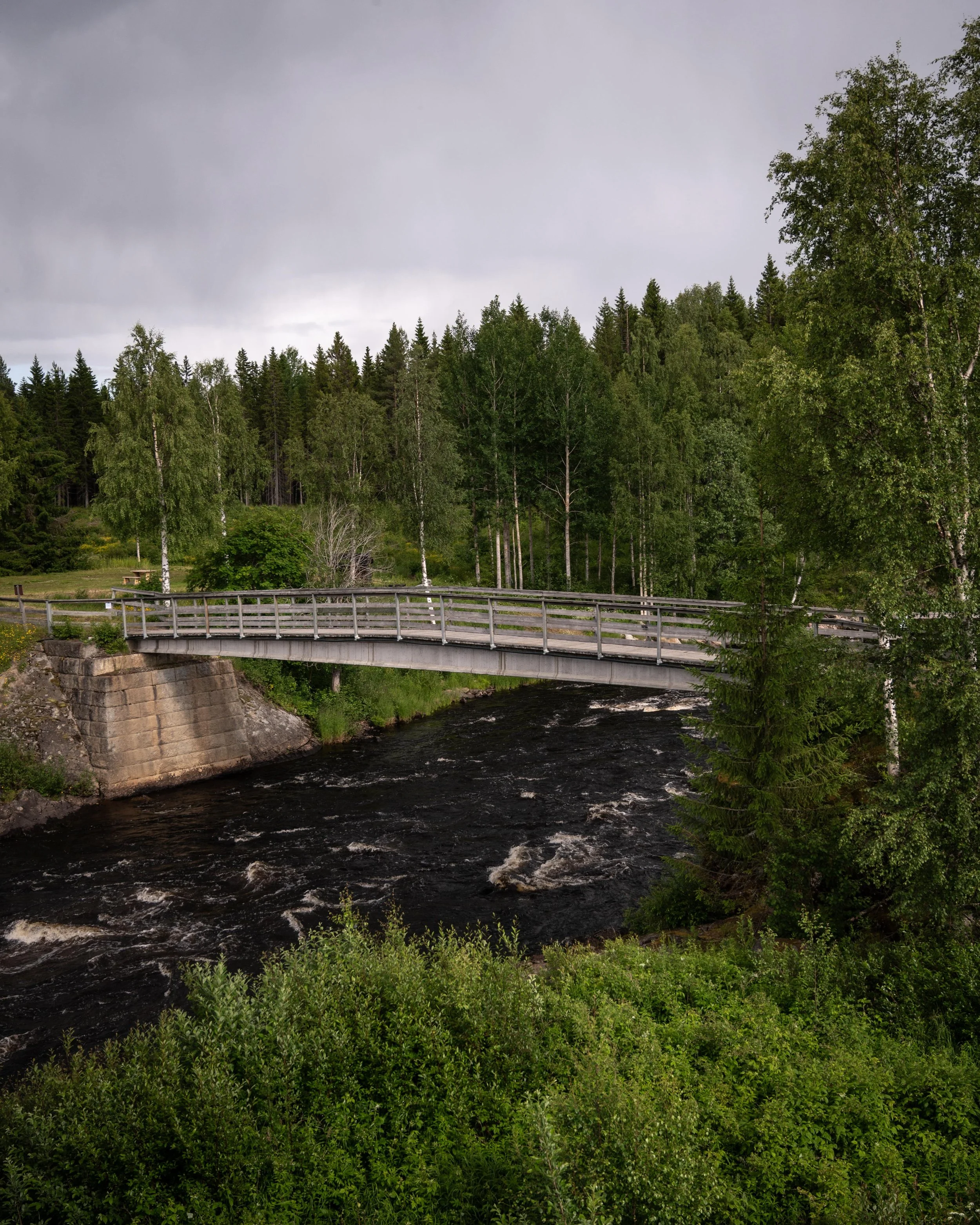 En bro över en flod omgiven av gröna träd och en skog, under en översvämmad himmel.