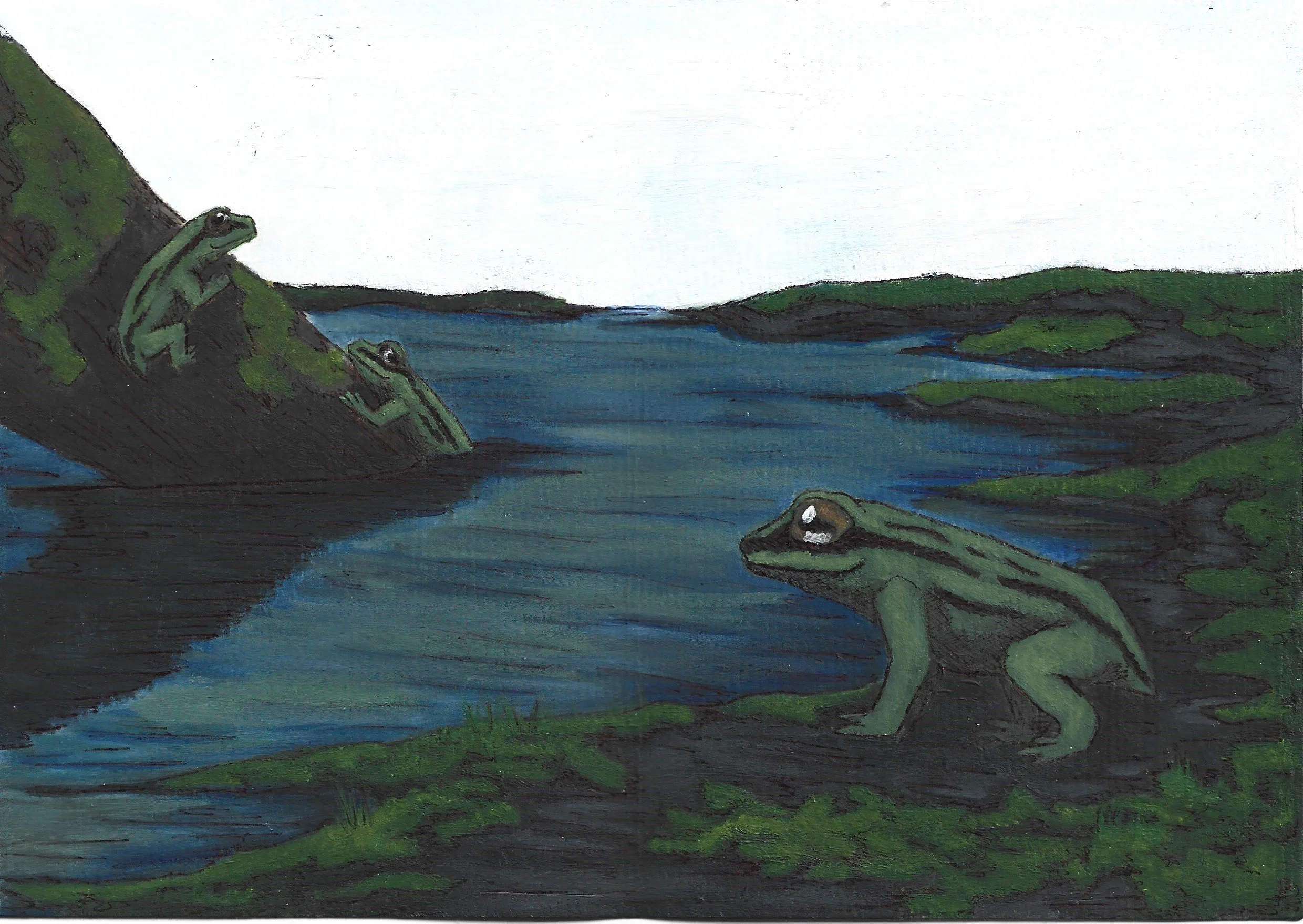 T massinoti swamp.jpg