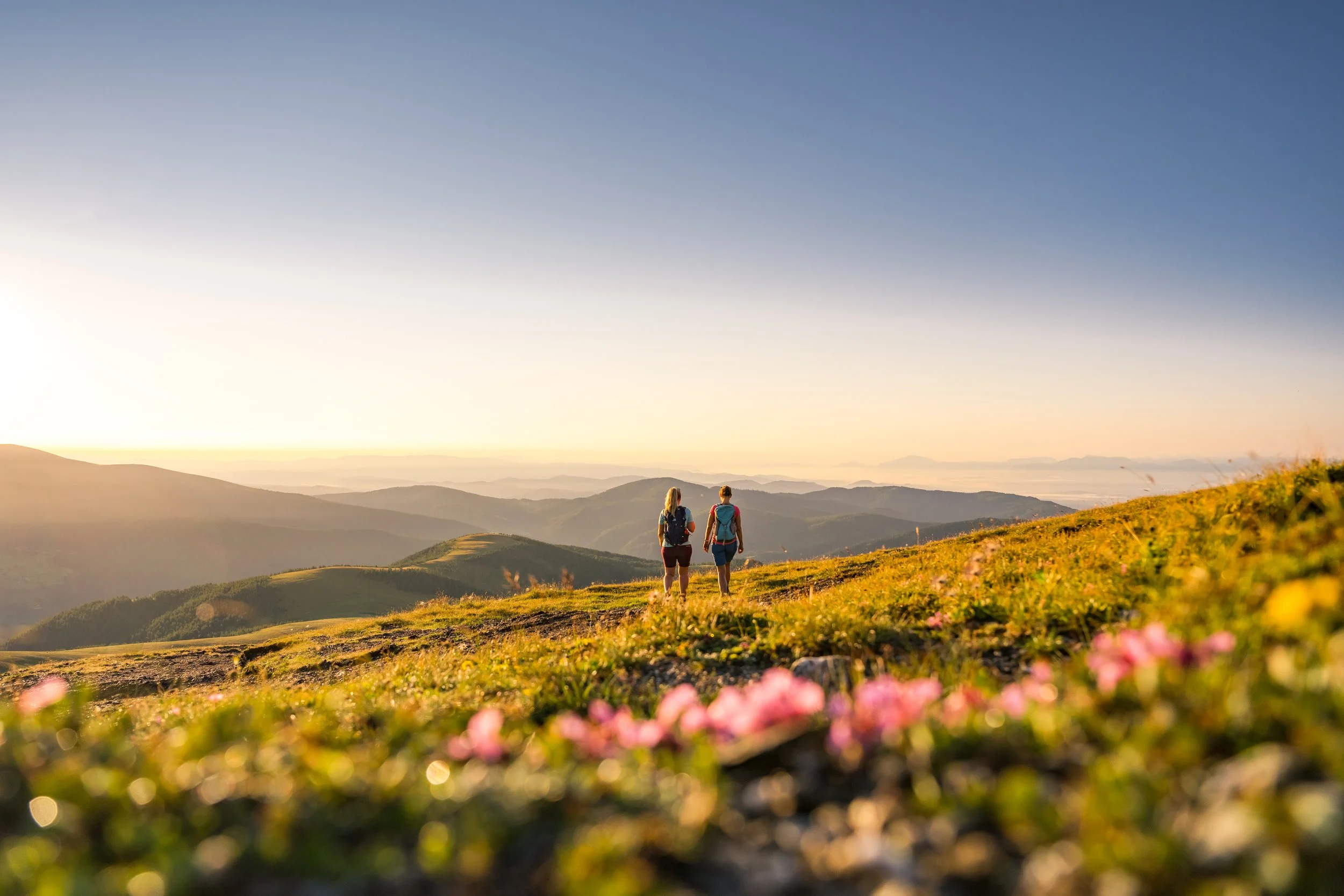 nockberge_sommer_wandern-original_(f)_Michael-Stabentheiner_(c)_Kaernten-Werbung_929f9f70-1bd2-4f48-8bcc-b068b8e27c45.jpeg