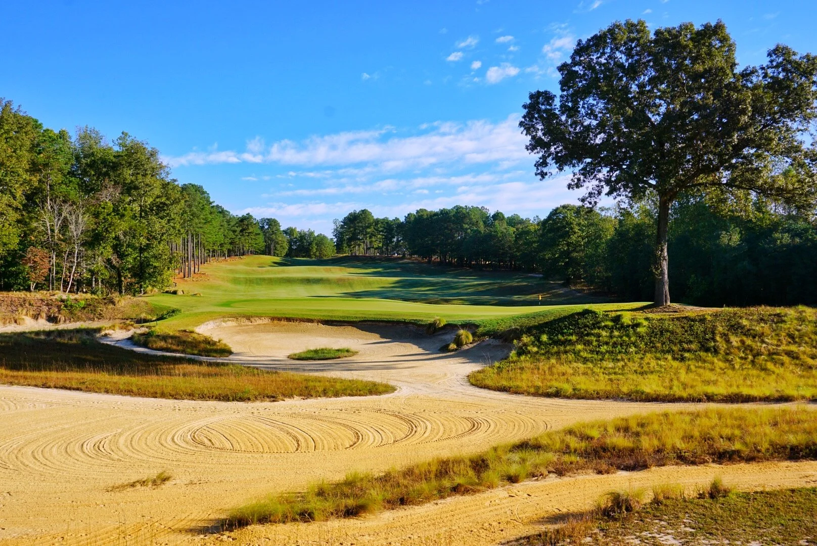 7 Green 10.12.19.jpg