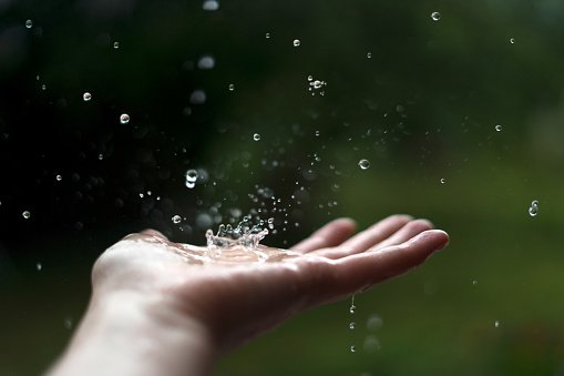 Hands of Devotion