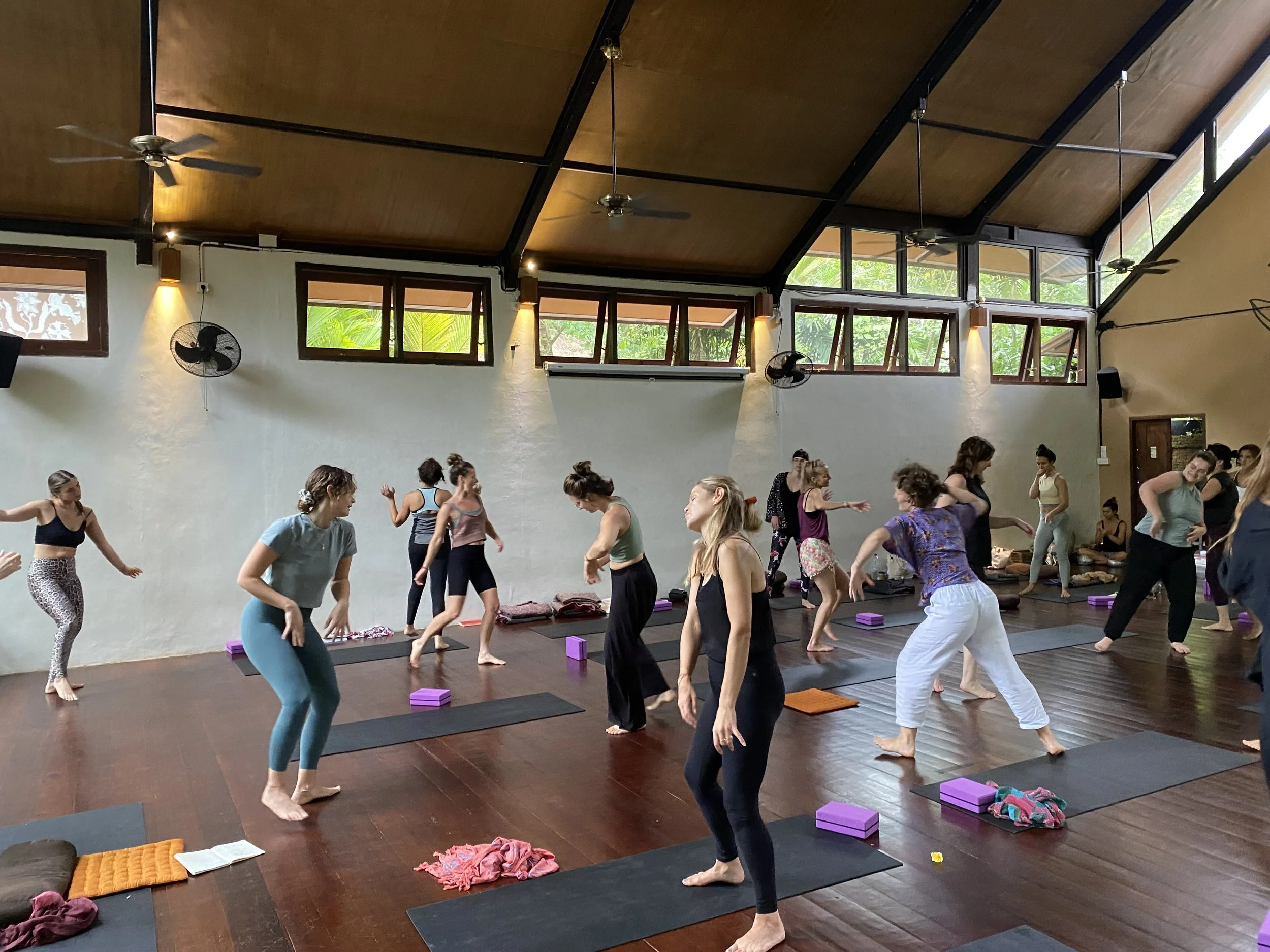 Non-Dual Embodiment Day Retreat