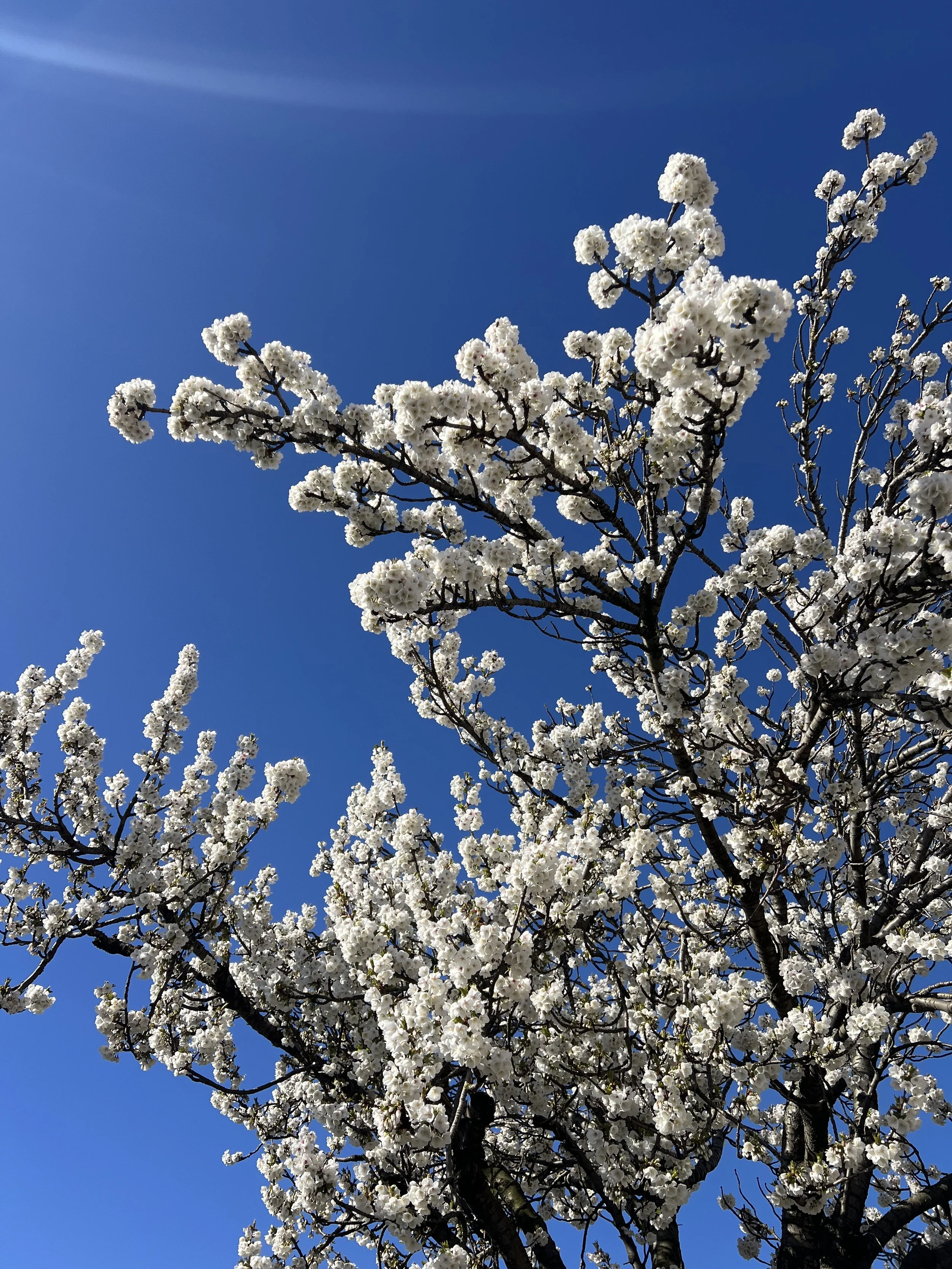 textural worship - online workshop