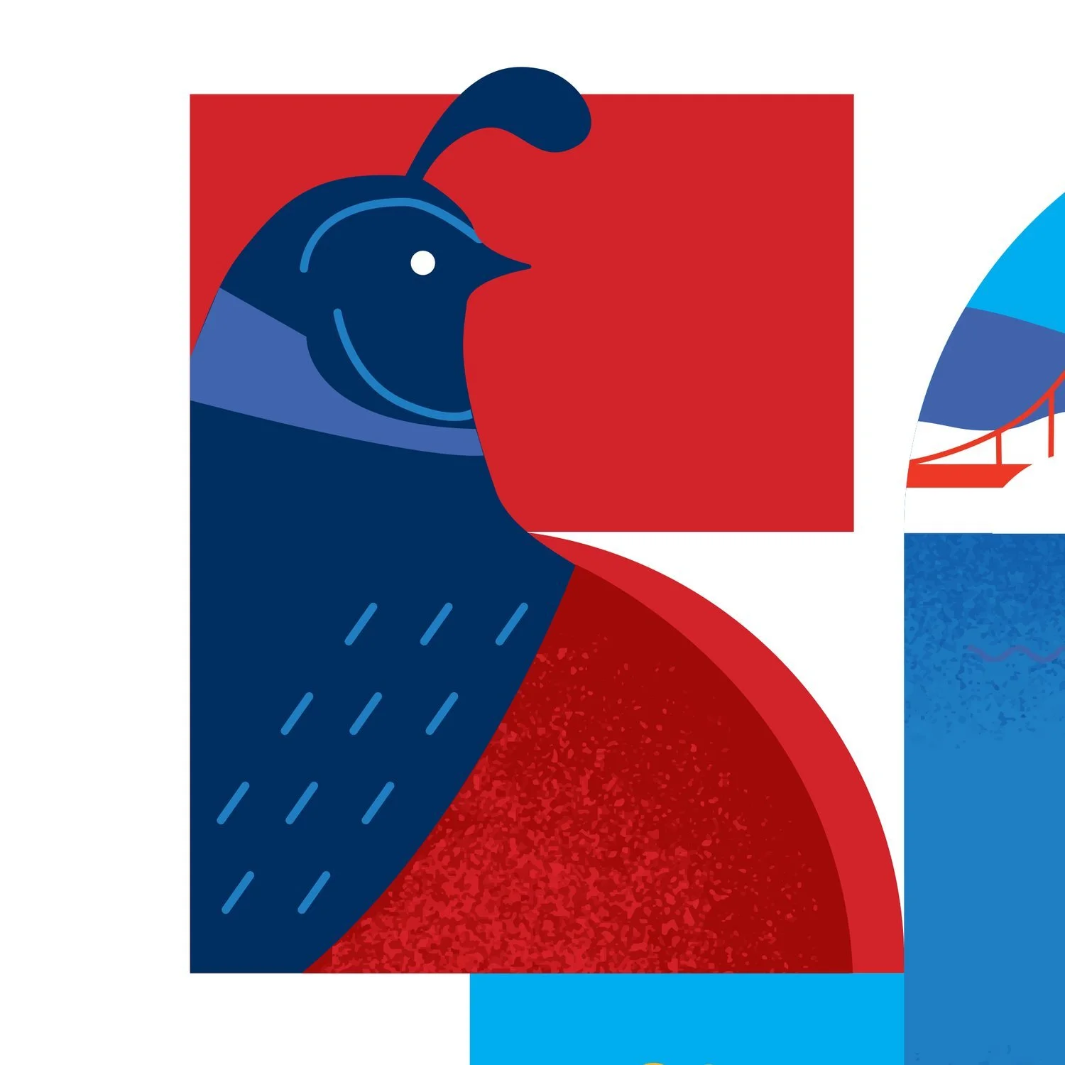NPR50quail.jpg