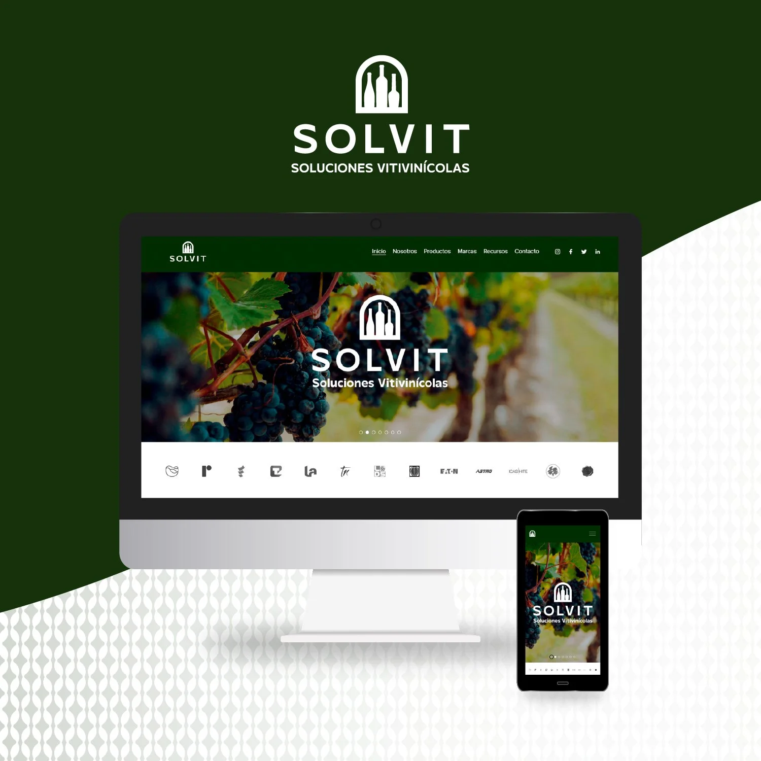 Branding / Solvit