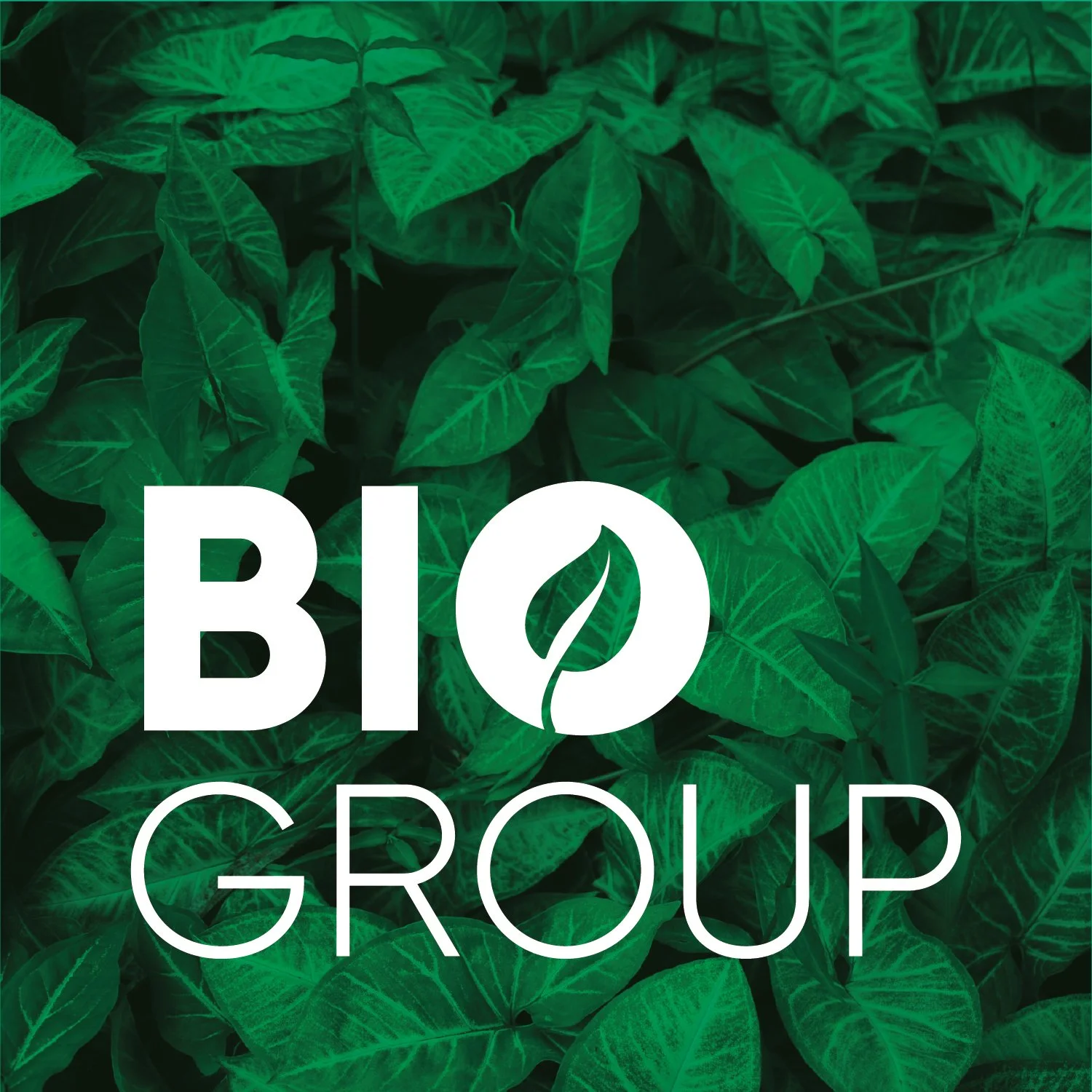 Branding / Bio Group