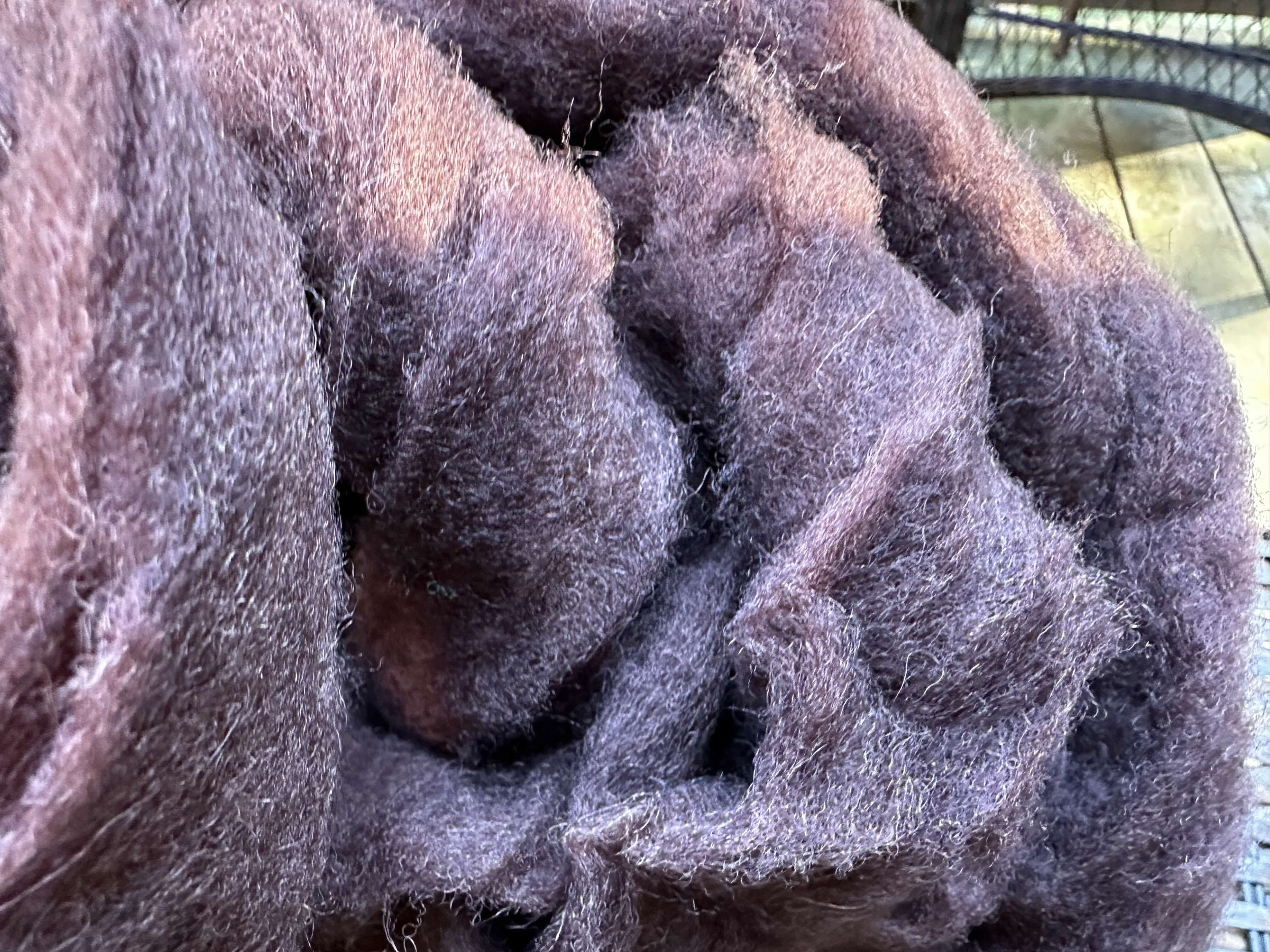 Candian wool - chocolate brown