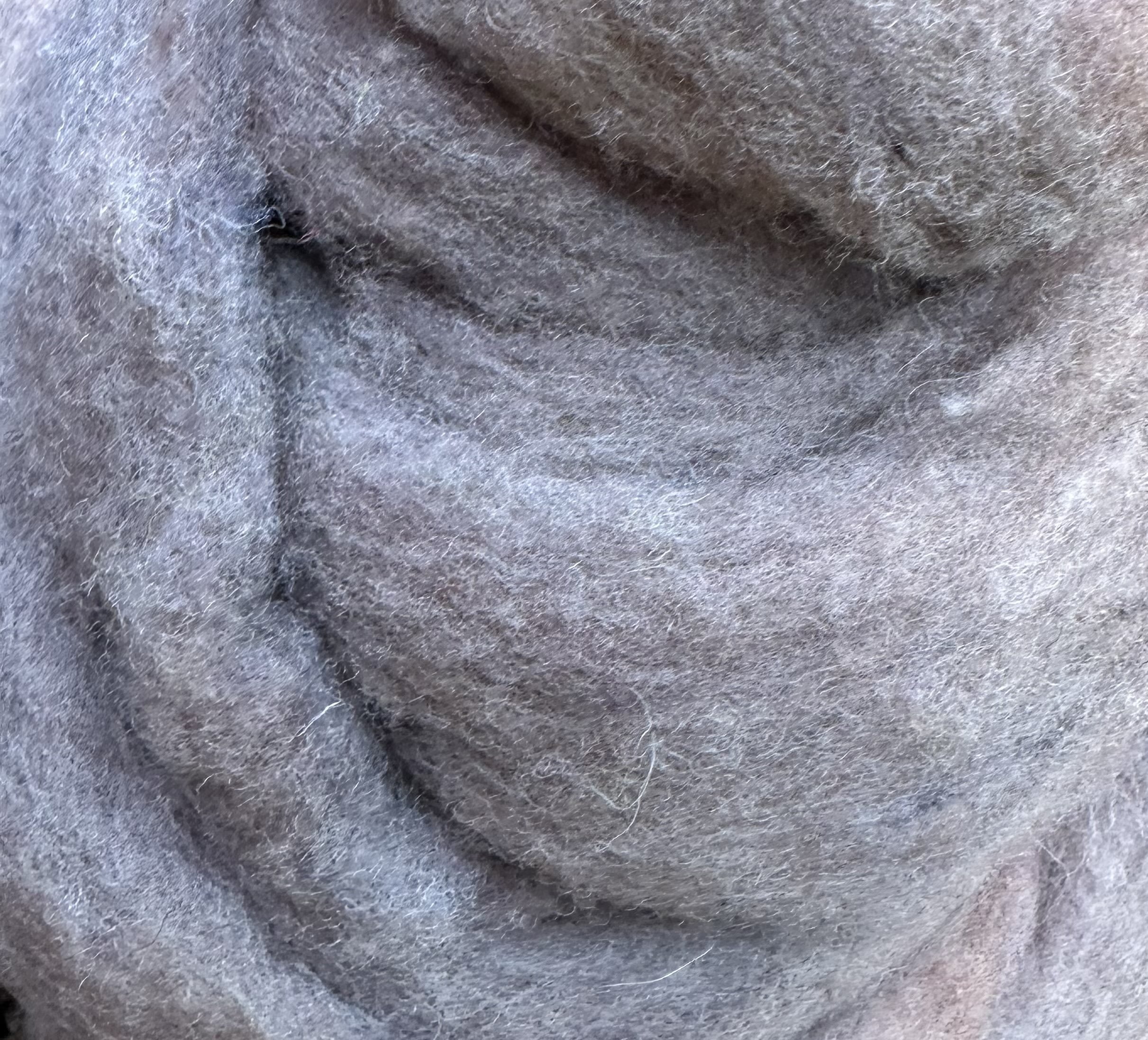 Canadian wool - Light gray