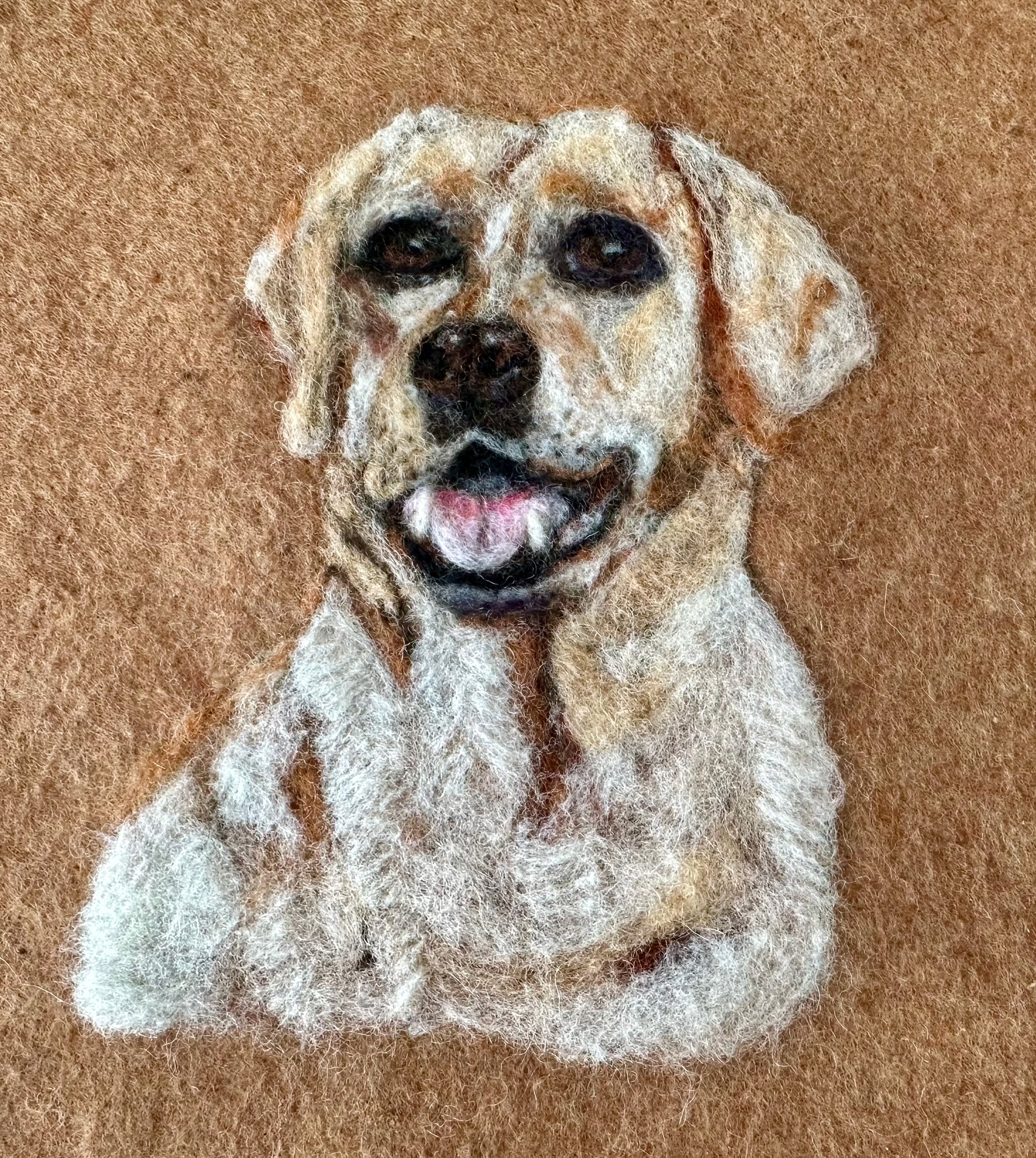 Labrador portrait kit