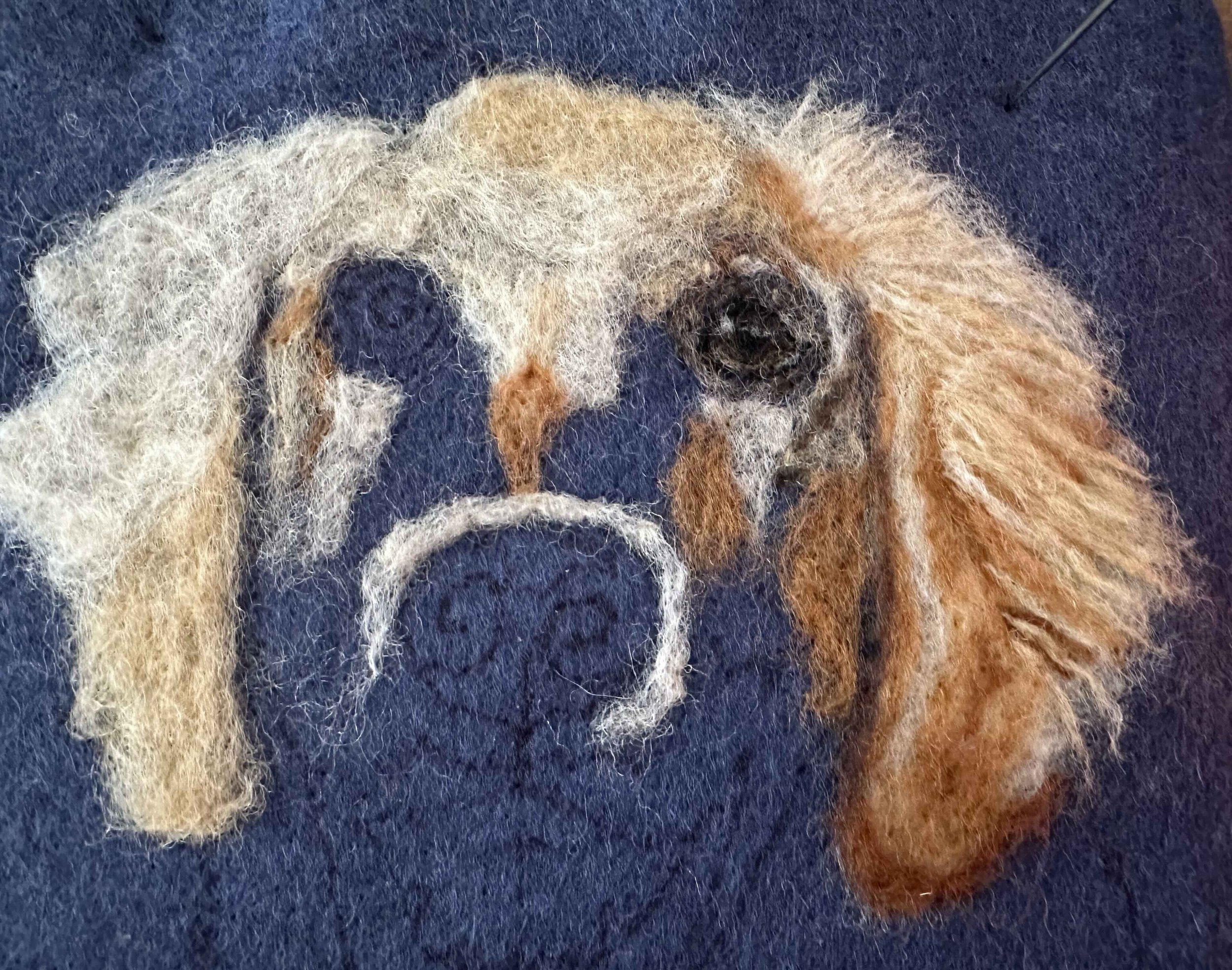 FREE dog portrait classes
