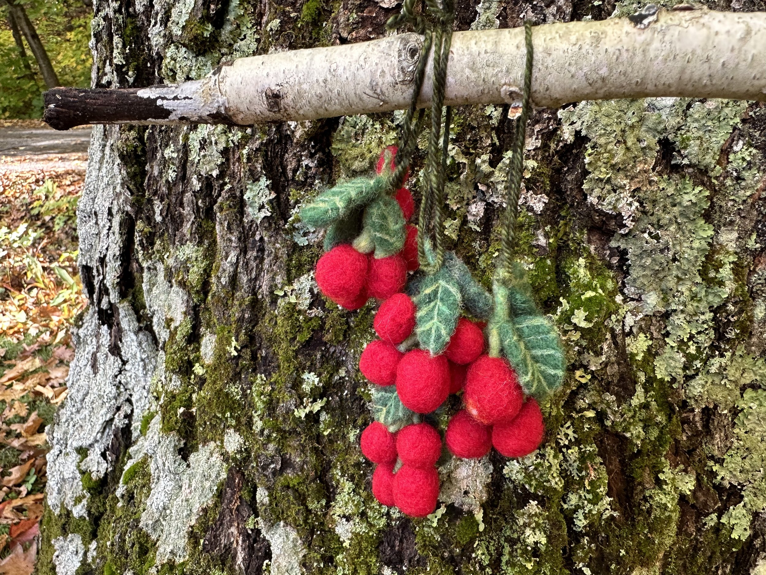 Cranberry ornaments