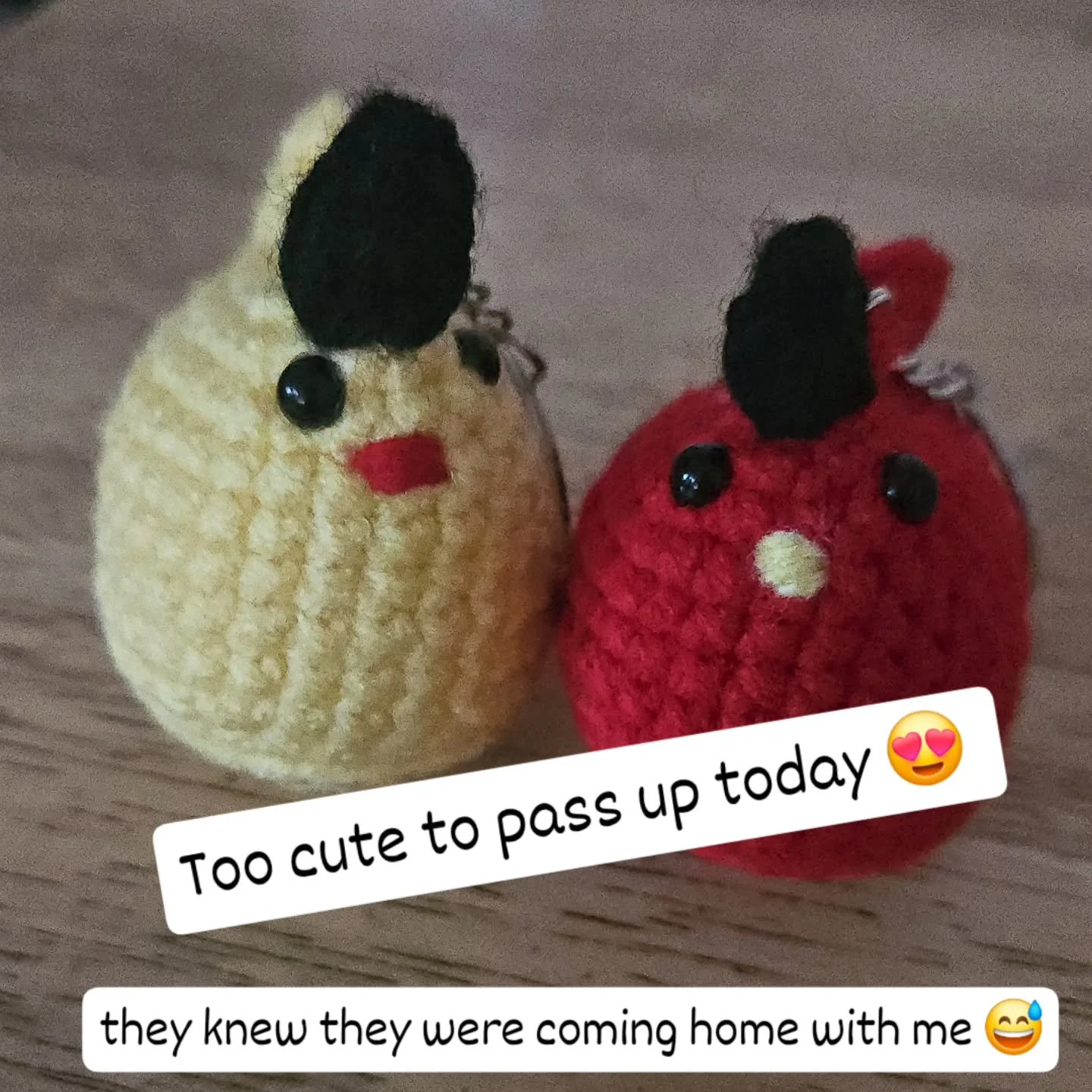 🐥 These little chicks knew they were coming home with me the moment I laid eyes on them! 💛

I couldn't resist bringing home these adorable crocheted chickens from my market neighbor, CraftyHookPals! 🧶✨

Be sure to check out their page and show som