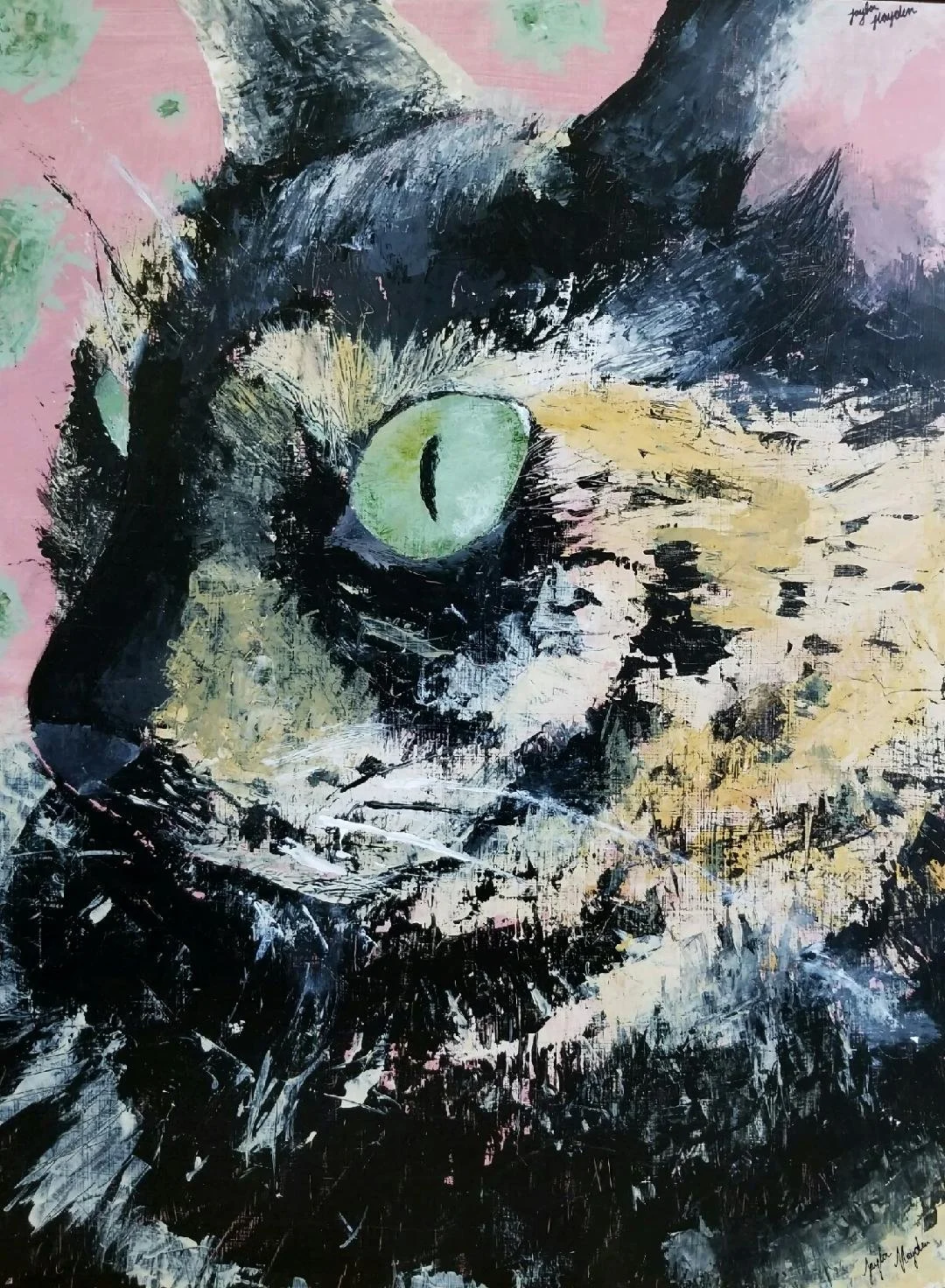 Feral Gaze